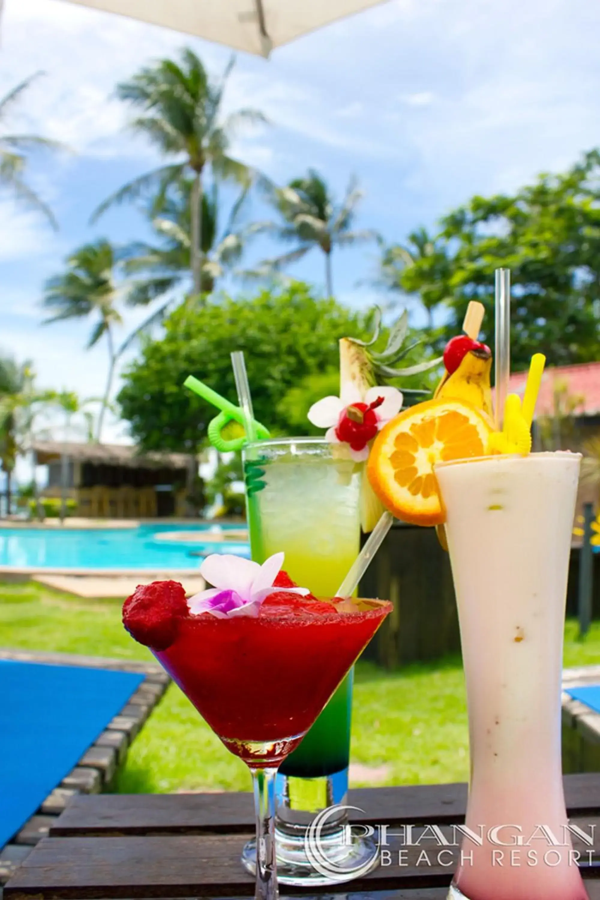 Lounge or bar in Phangan Beach Resort Lounge or bar in Phangan Beach Resort