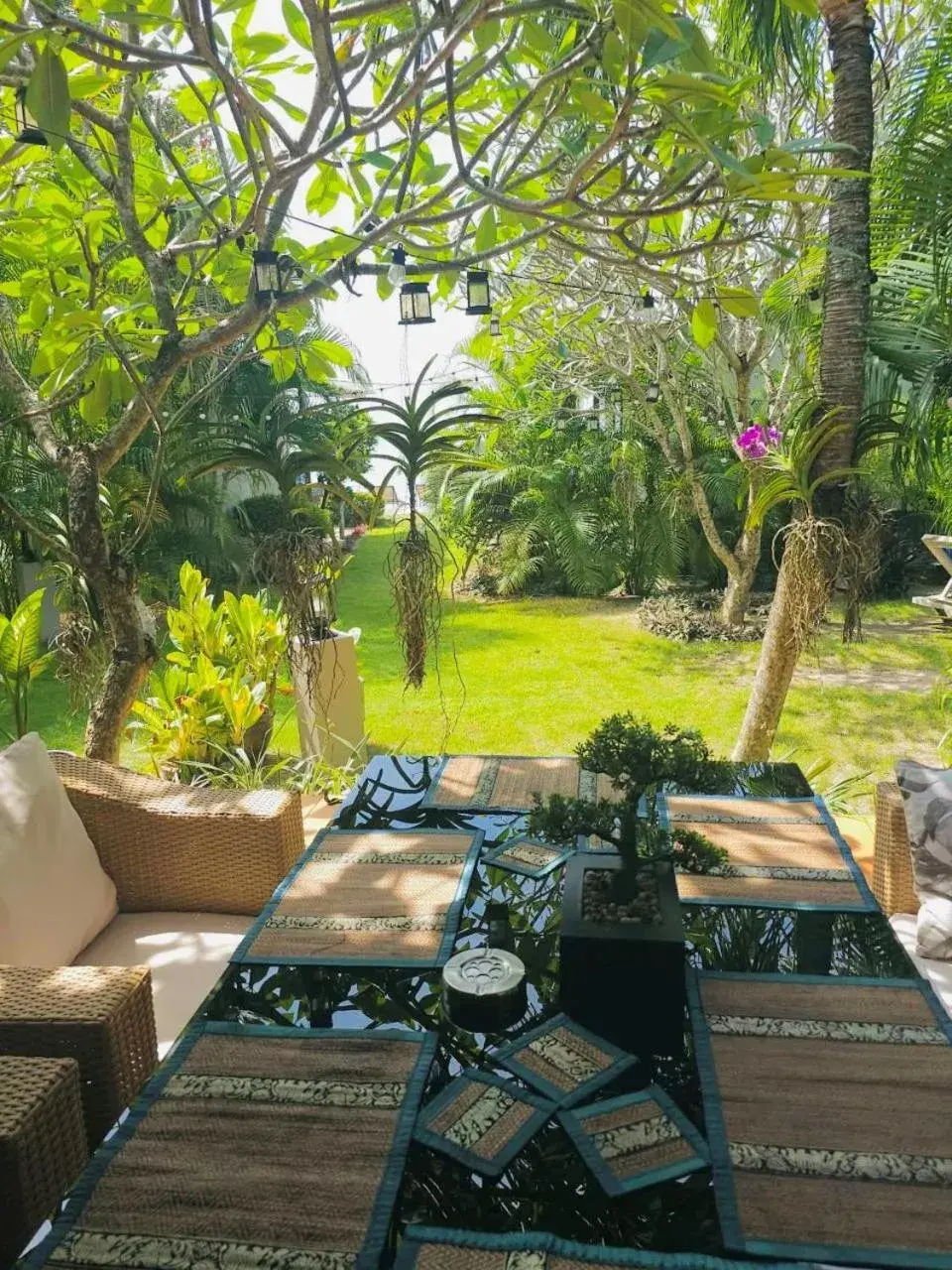 Garden view in Phangan Beach Resort Garden view in Phangan Beach Resort