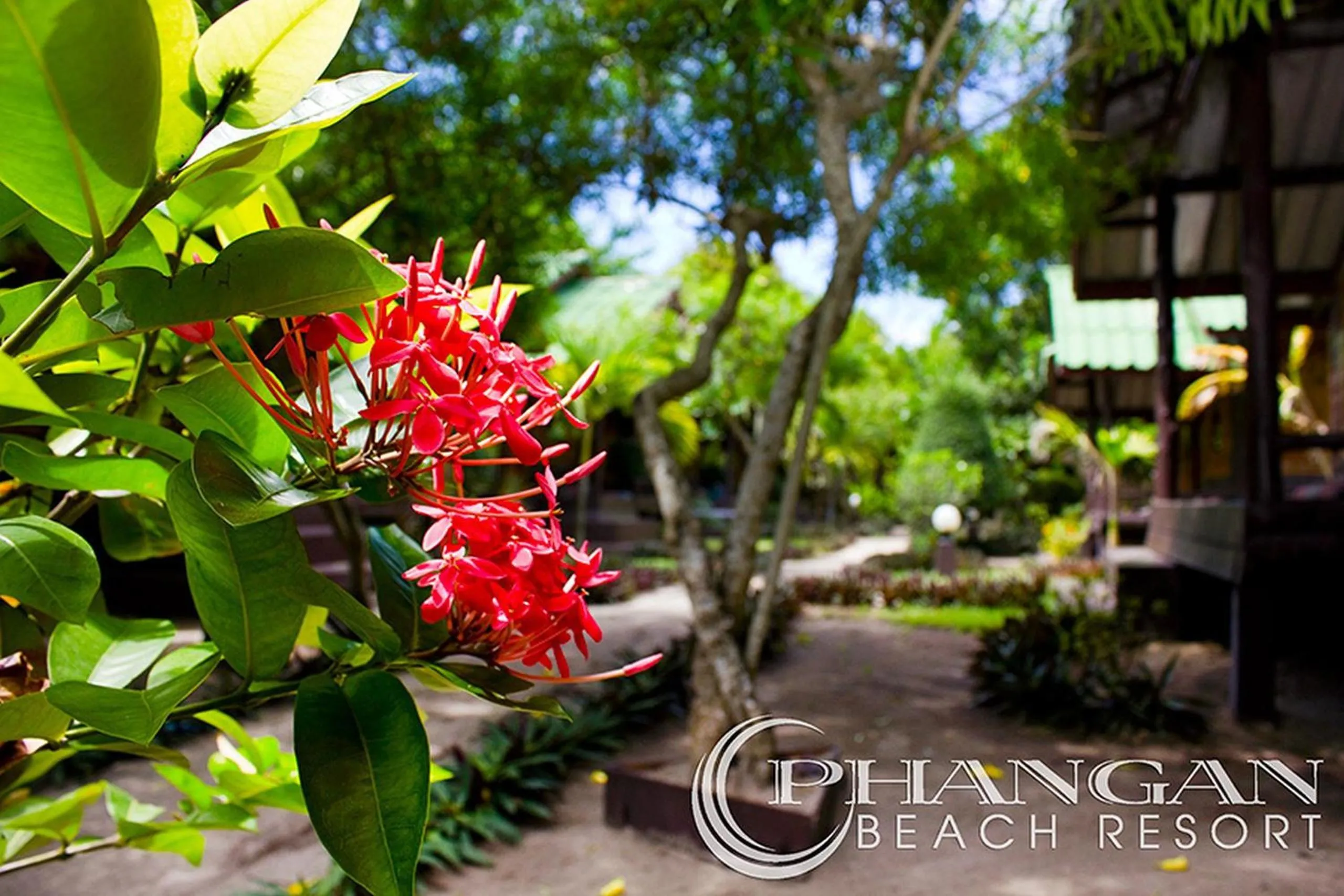Garden in Phangan Beach Resort