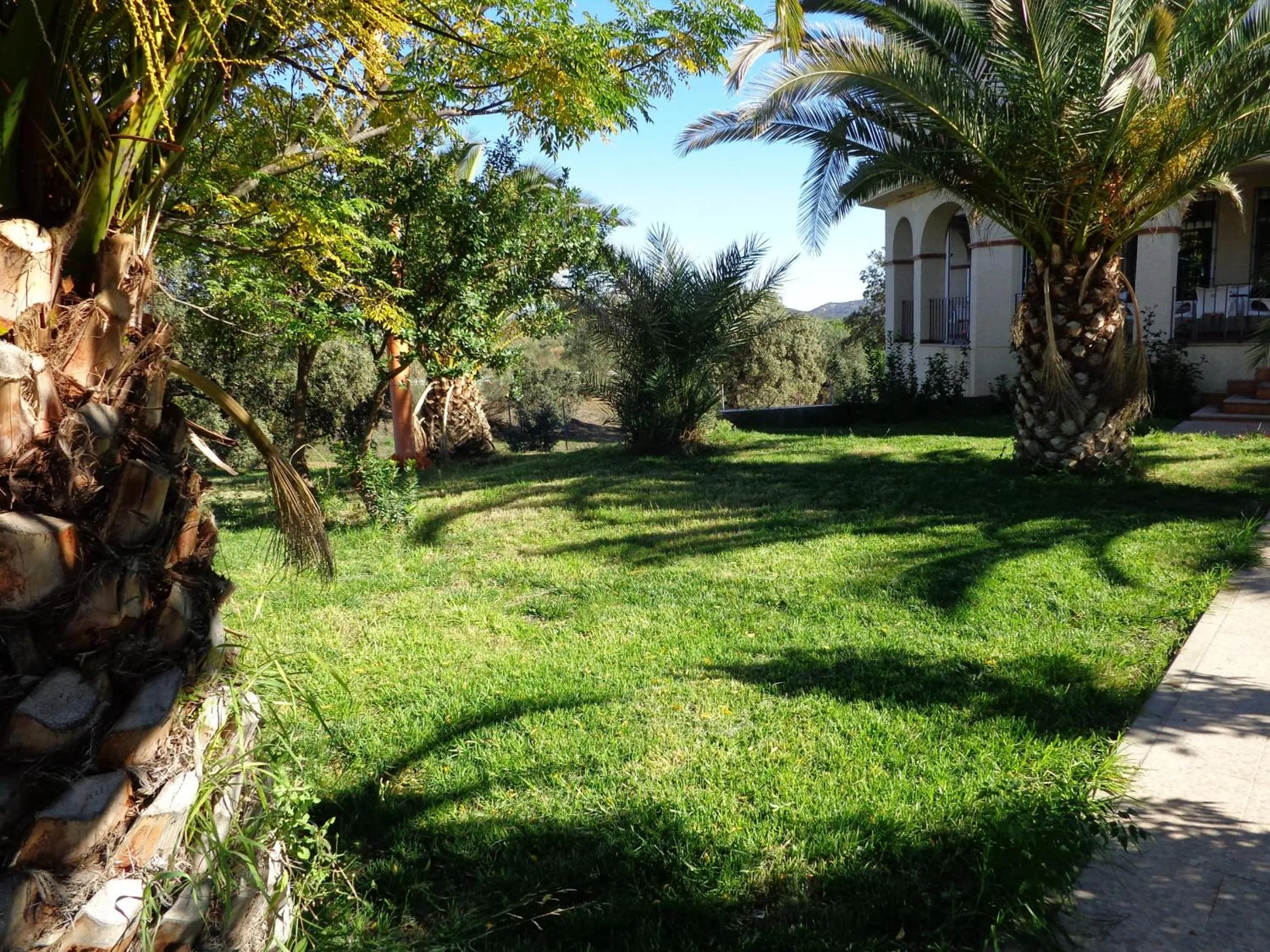 Property building in Hostal La Laguna