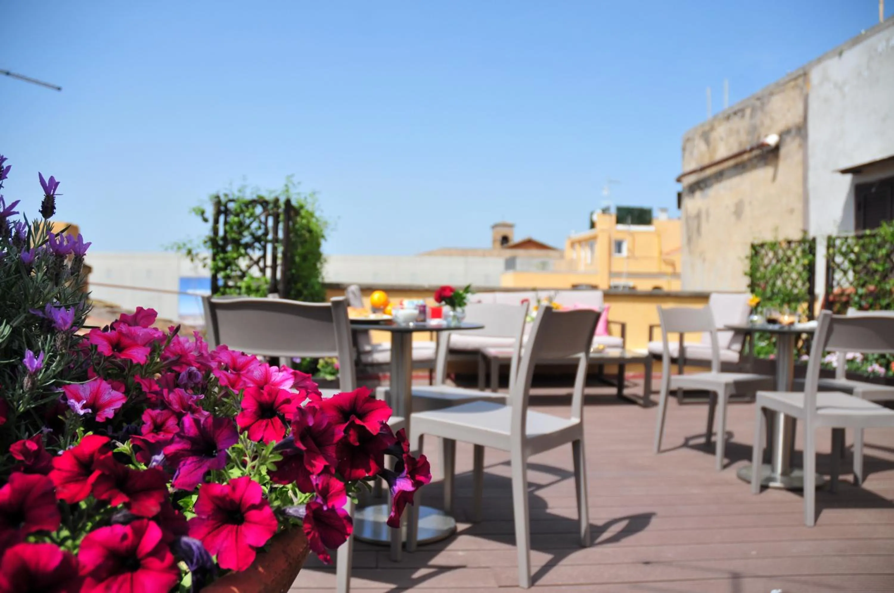 Balcony/Terrace in Piccola Navona Roof Garden