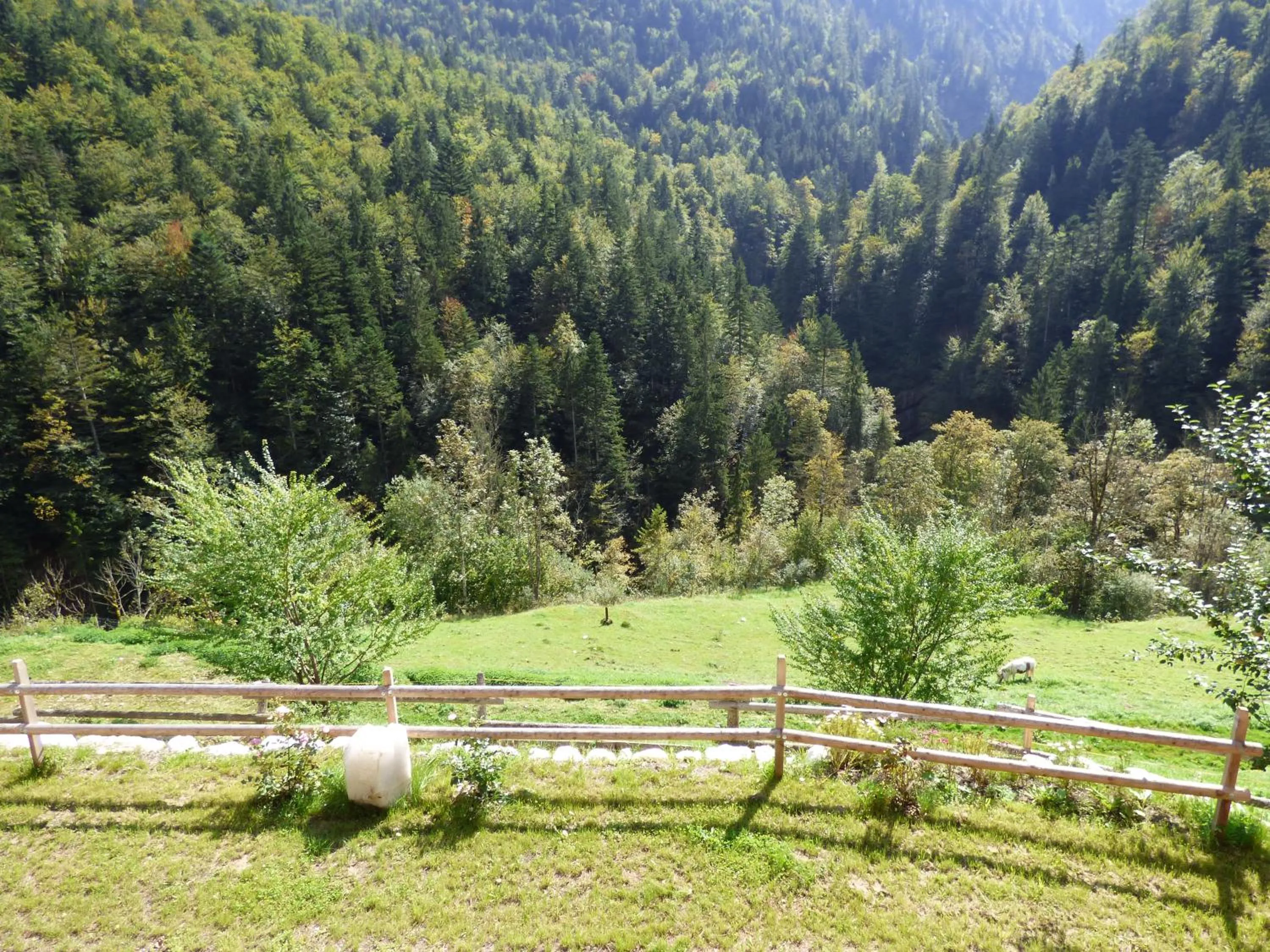 Natural landscape in Hotel-Gasthof Mauthäusl