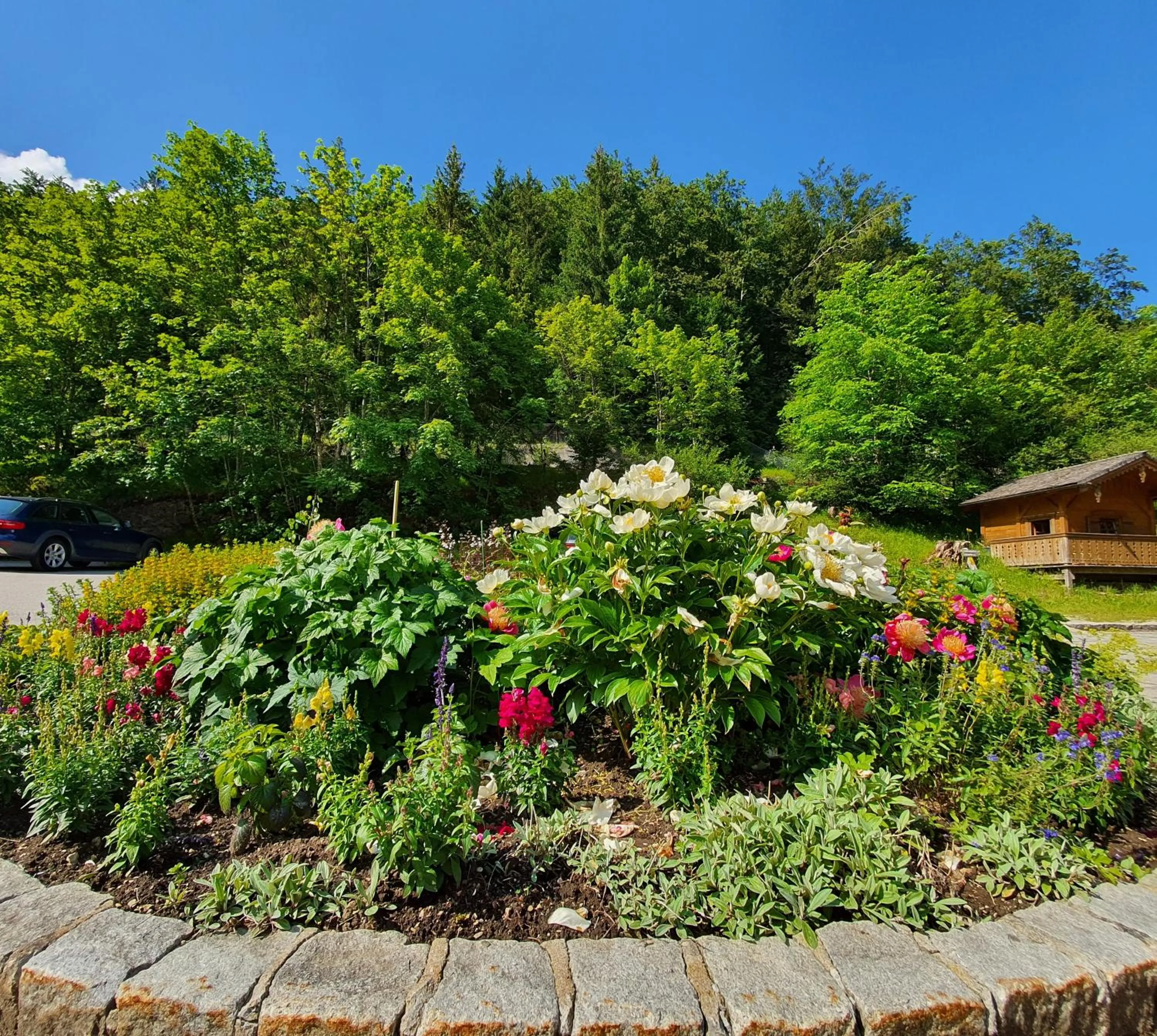 Day in Hotel-Gasthof Mauthäusl