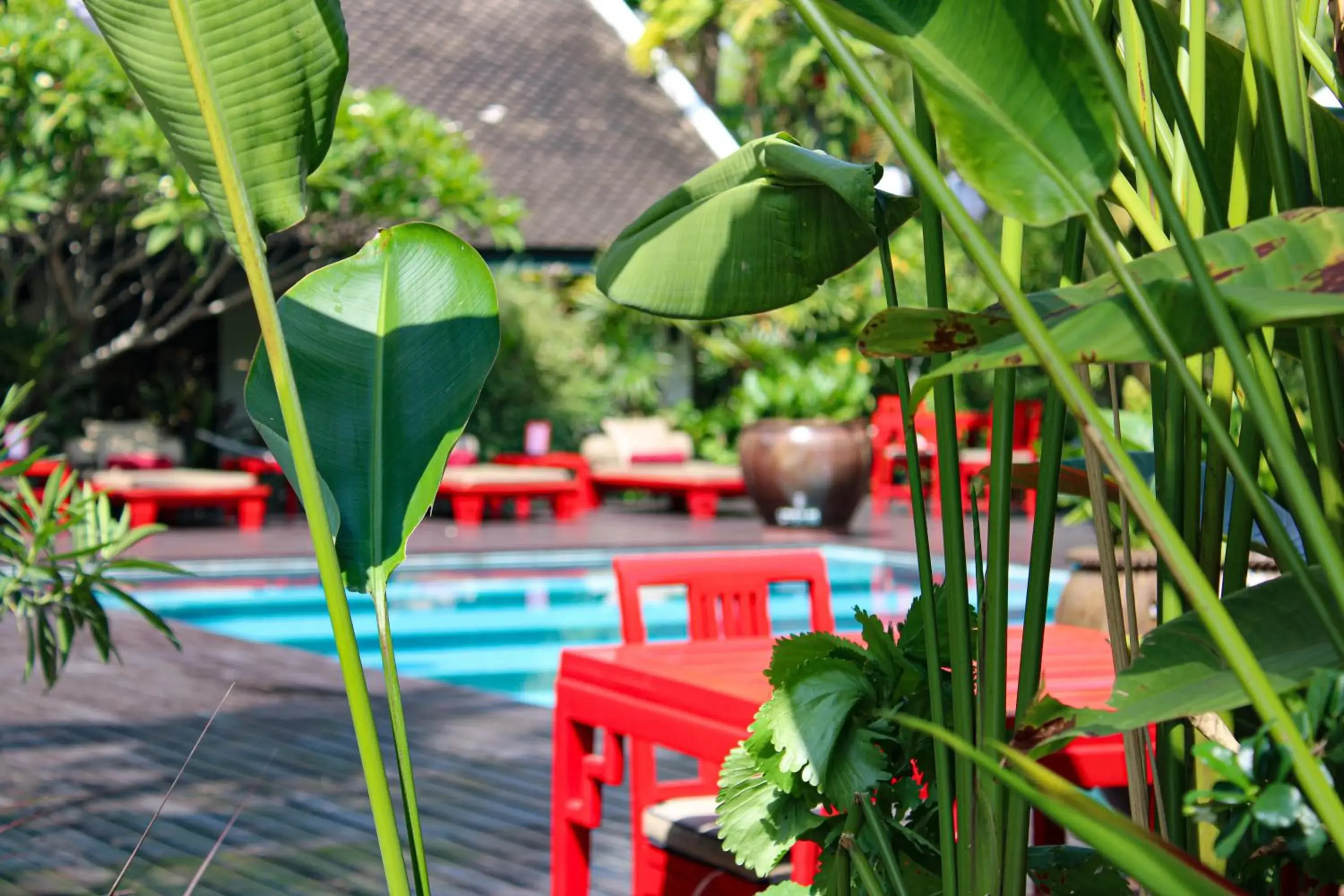 Pool view in Villa Maly Boutique Hotel Pool view in Villa Maly Boutique Hotel