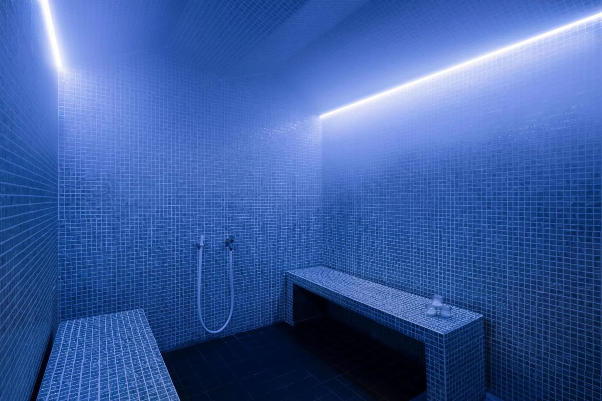 Steam room in Parkhotel Landau