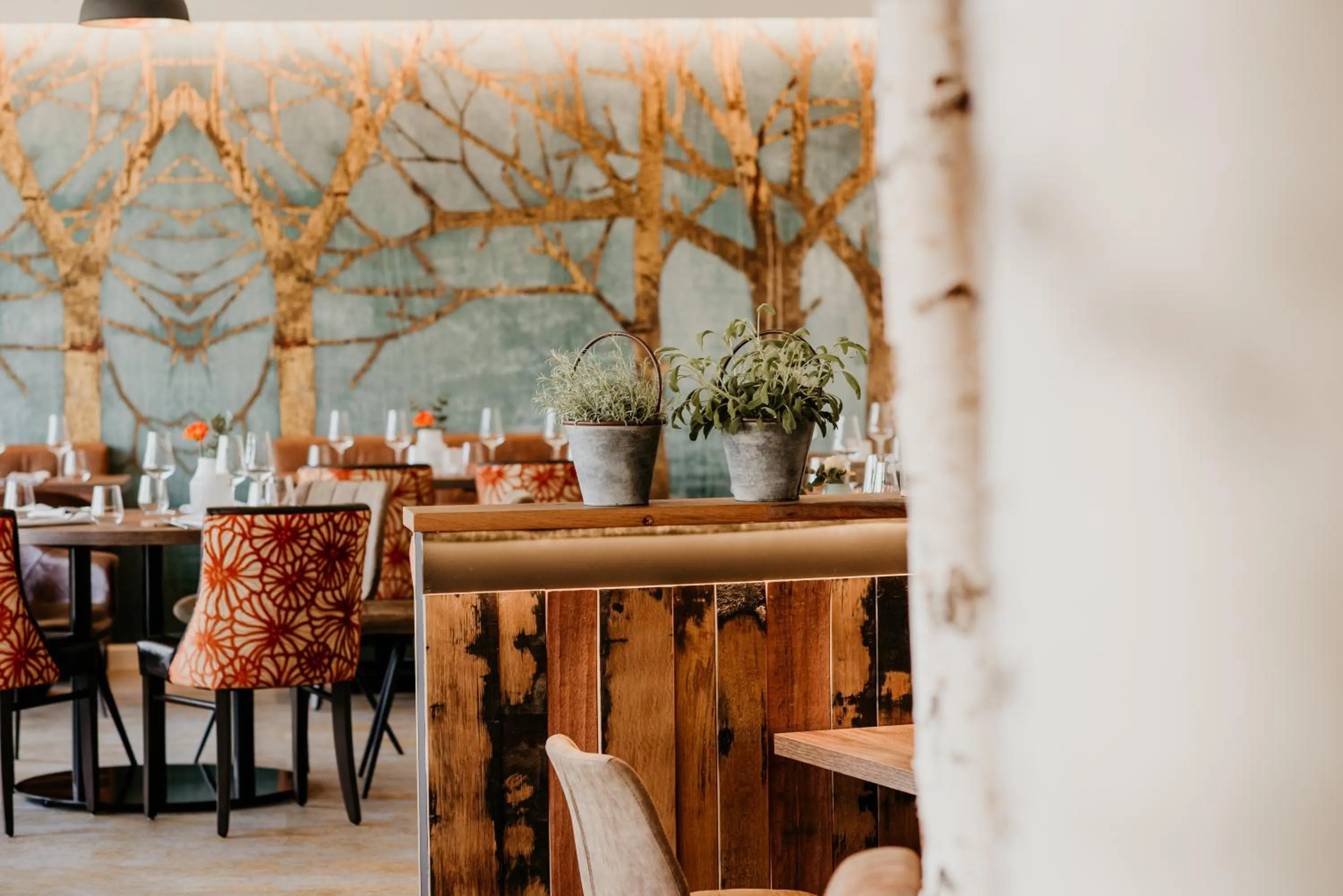 Restaurant/places to eat in Parkhotel Landau