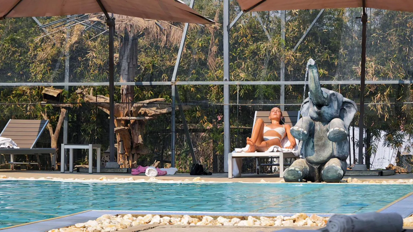 Swimming pool in Luang Prabang chanon hotel