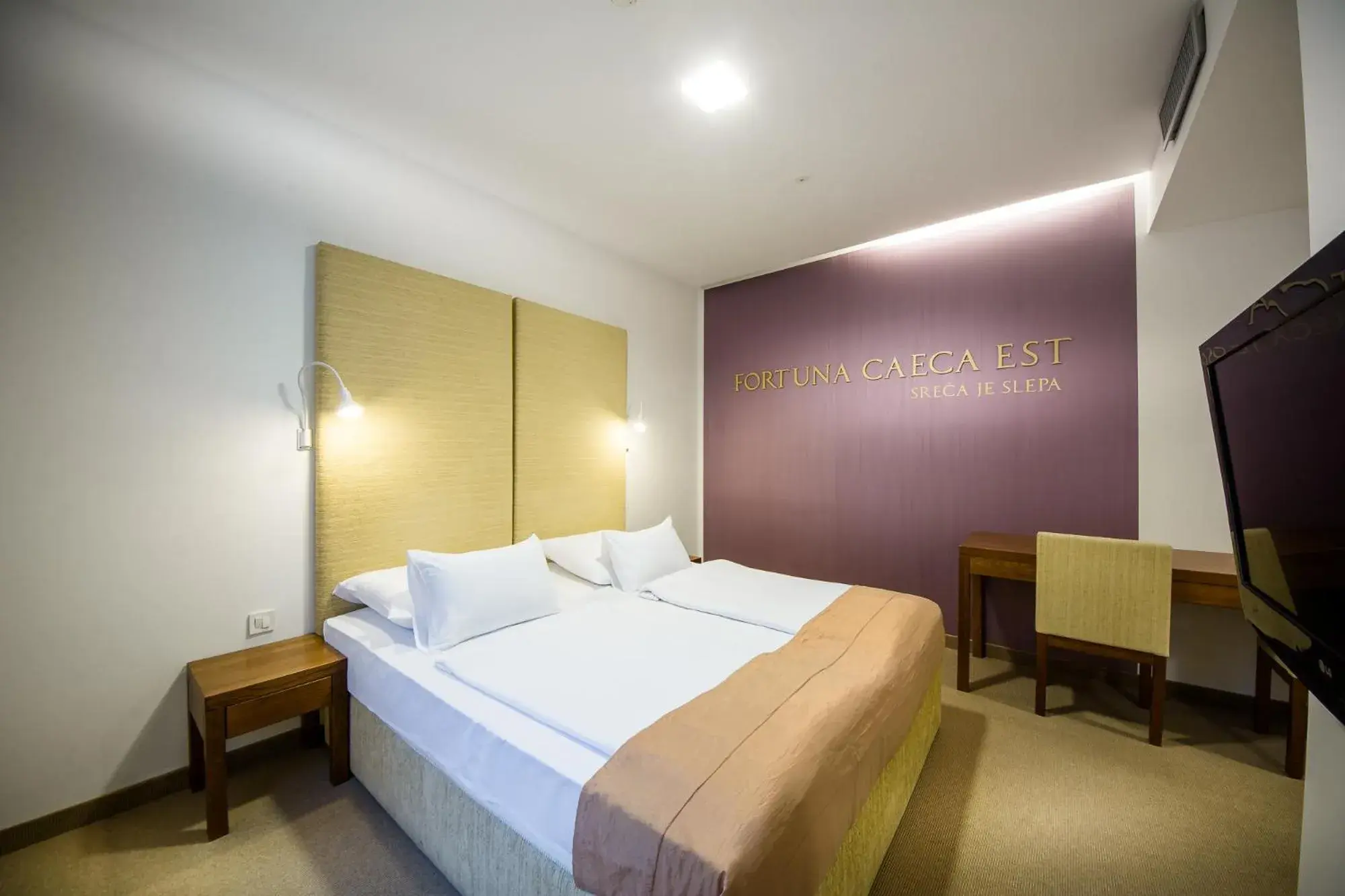 Double or Twin Room - single occupancy in Rimske Terme Resort - Hotel Zdraviliški dvor Double or Twin Room - single occupancy in Rimske Terme Resort - Hotel Zdraviliški dvor