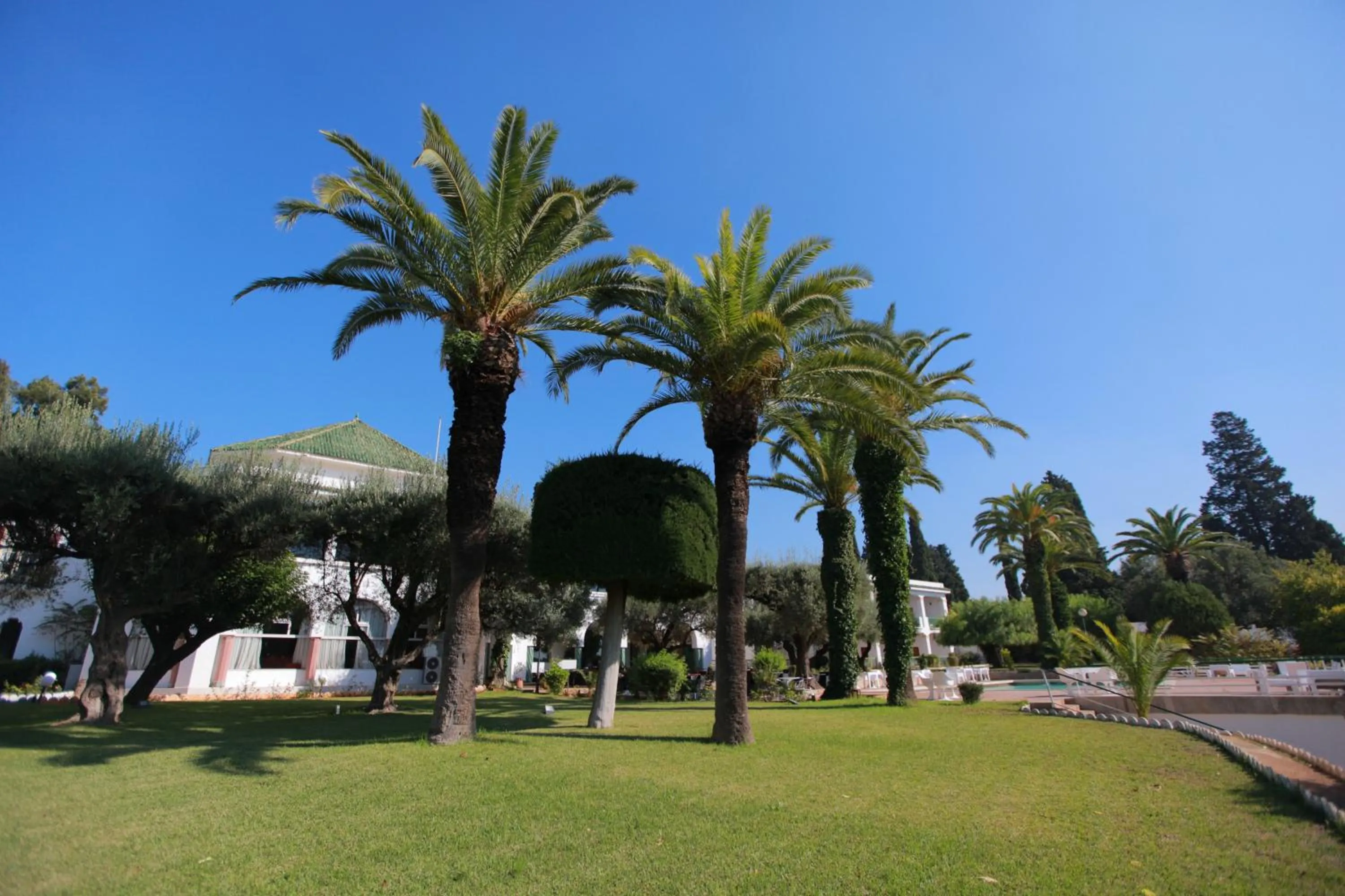 Garden in Hotel Transatlantique