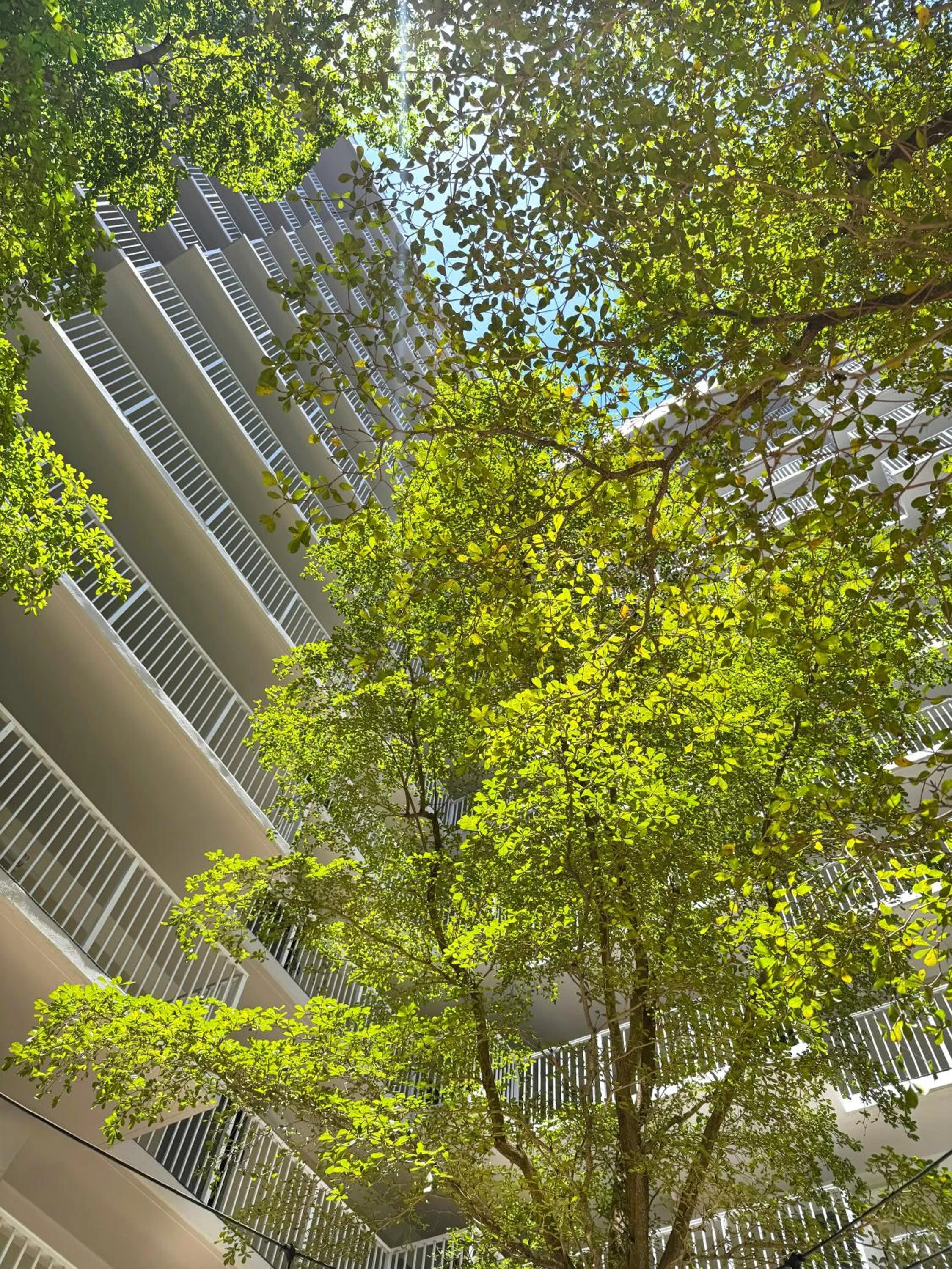Inner courtyard view in Wyndham I-Drive Avanti Resort & Conference Center