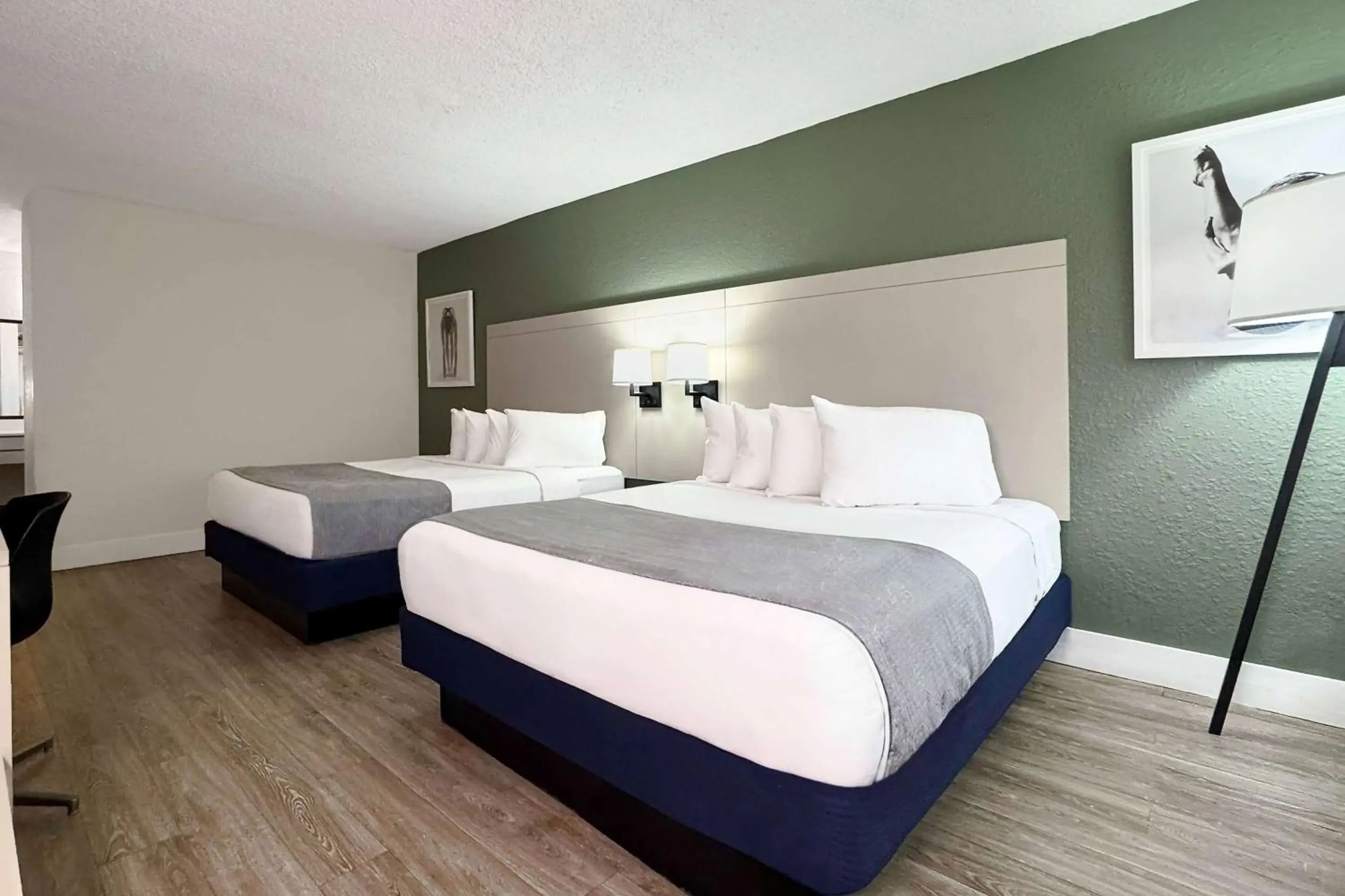 Photo of the whole room, Bed in Wyndham I-Drive Avanti Resort & Conference Center Photo of the whole room, Bed in Wyndham I-Drive Avanti Resort & Conference Center