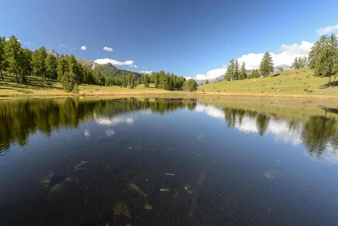 Natural landscape in Hotel Garni Panorama