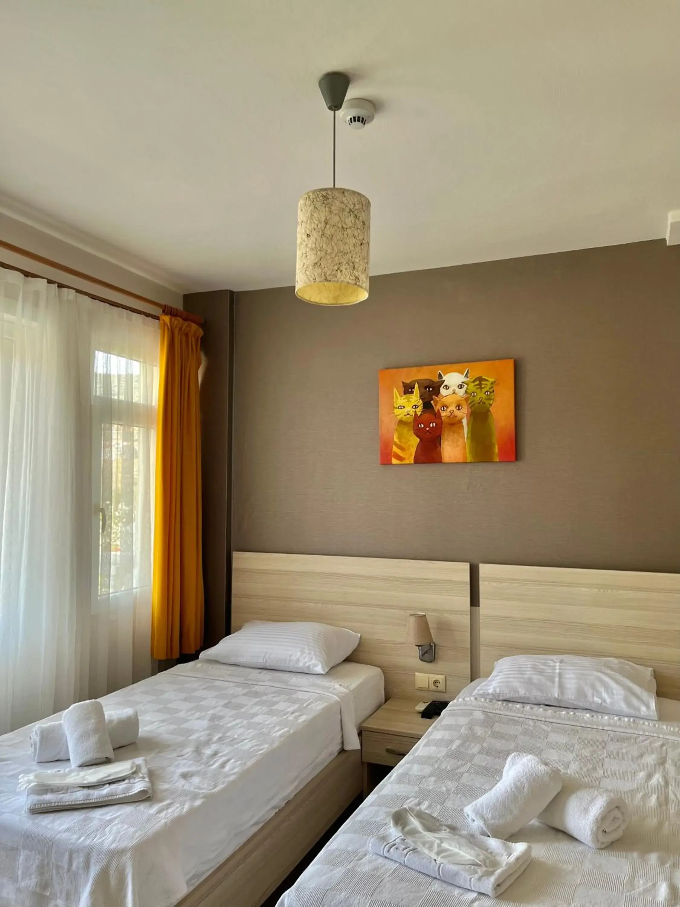 Standard Twin Room in Limon Pansiyon Standard Twin Room in Limon Pansiyon
