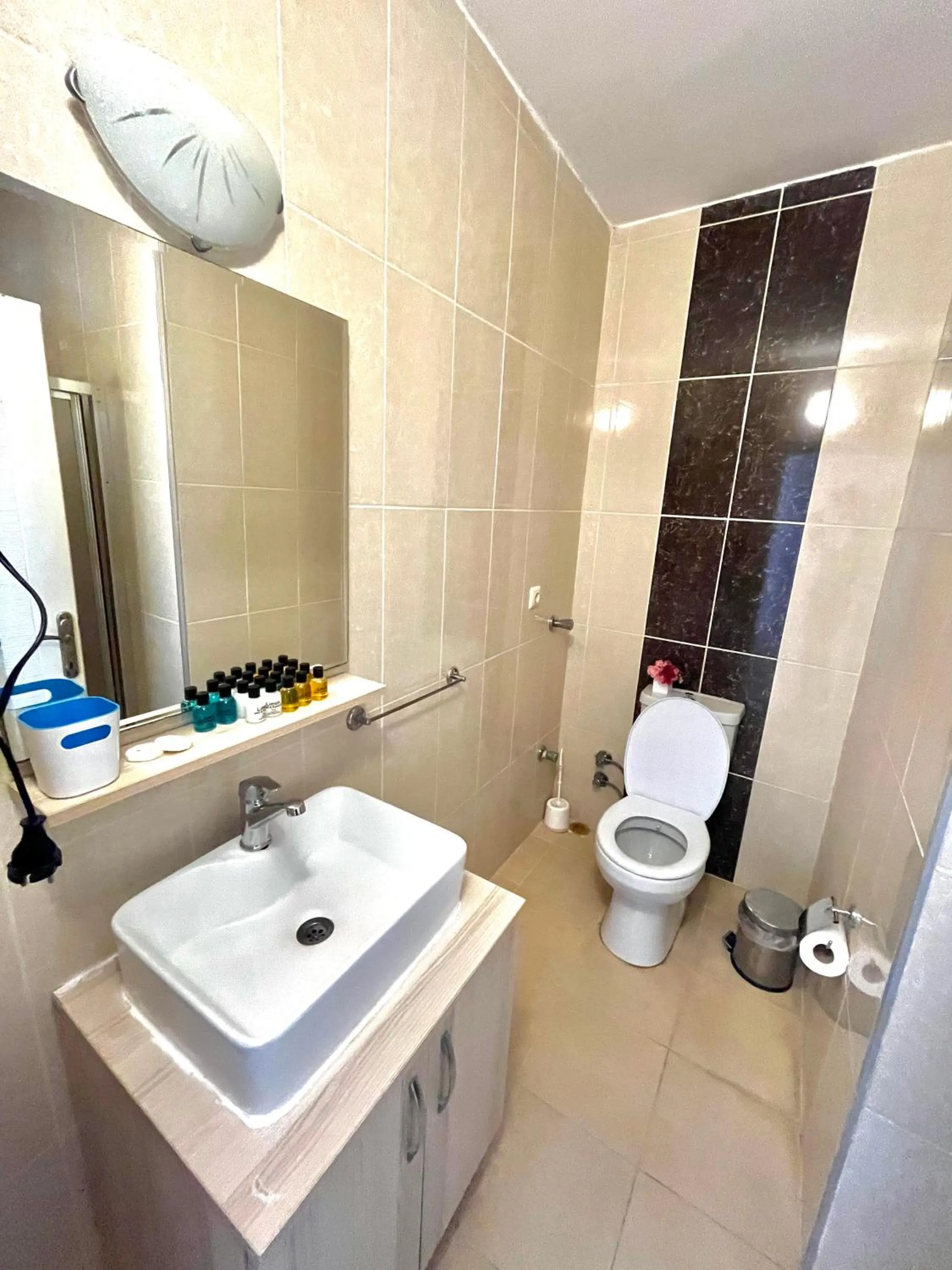 Toilet in Limon Pansiyon