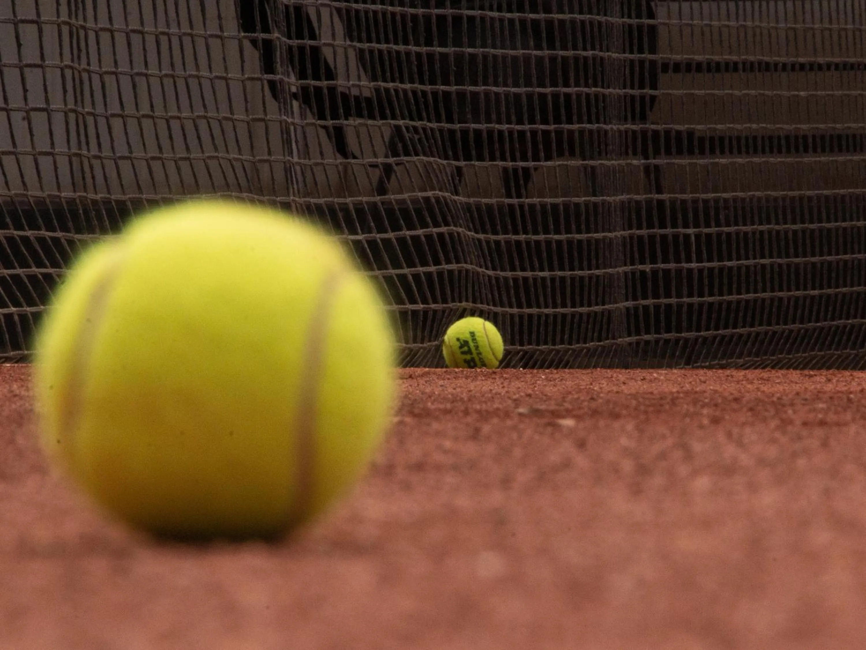 Activities in Hotel Khail