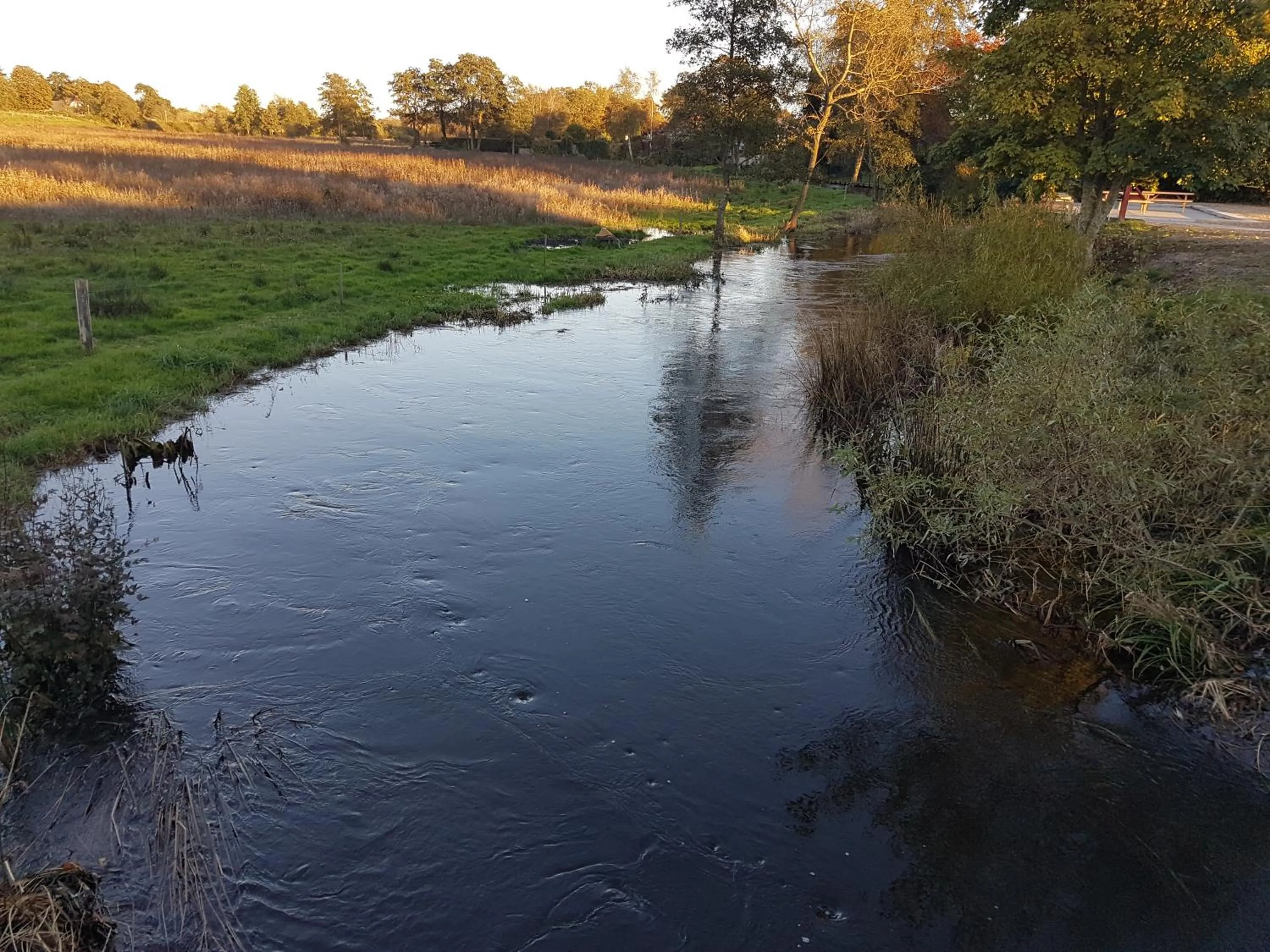 Area and facilities in Sdr. Omme Bed & Breakfast