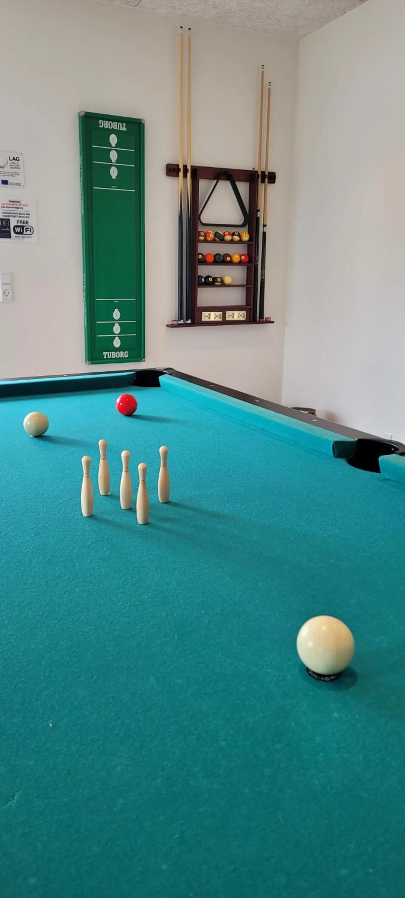 Billiard in Sdr. Omme Bed & Breakfast