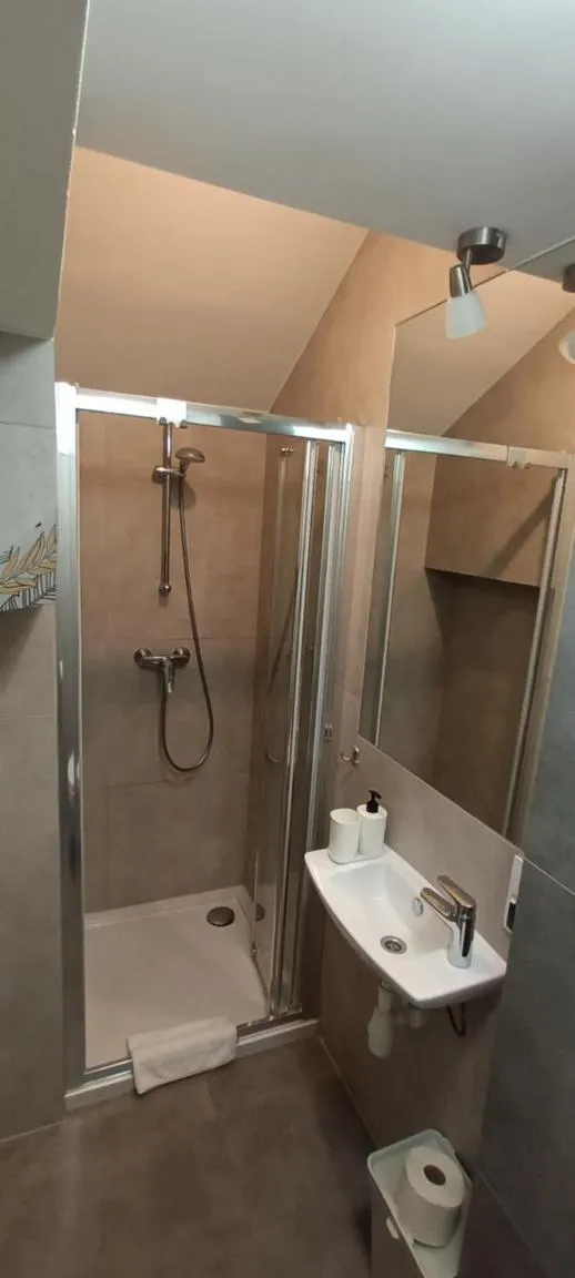 Shower in Cracow Central Aparthotel