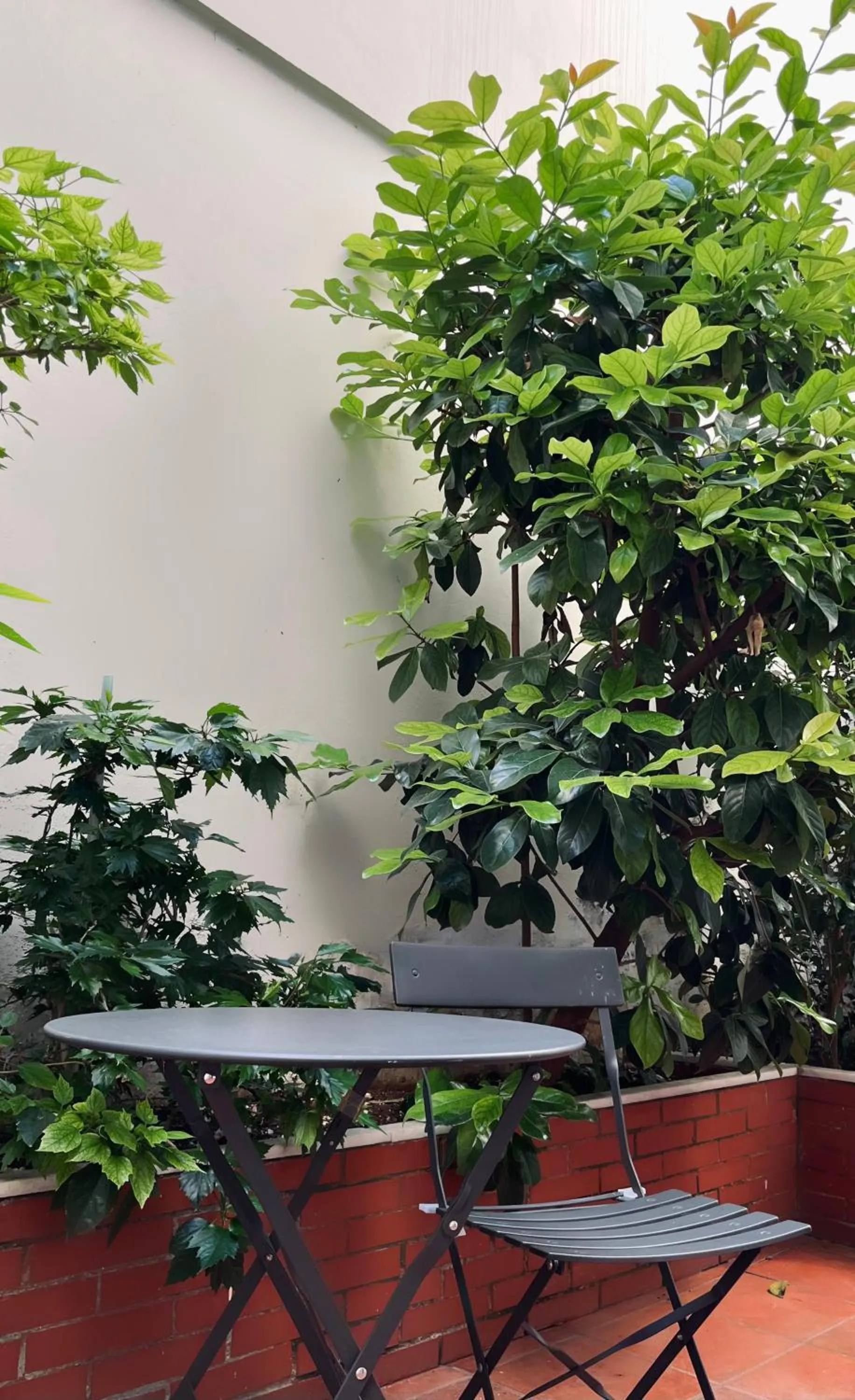 Balcony/Terrace in Alfa Hotel