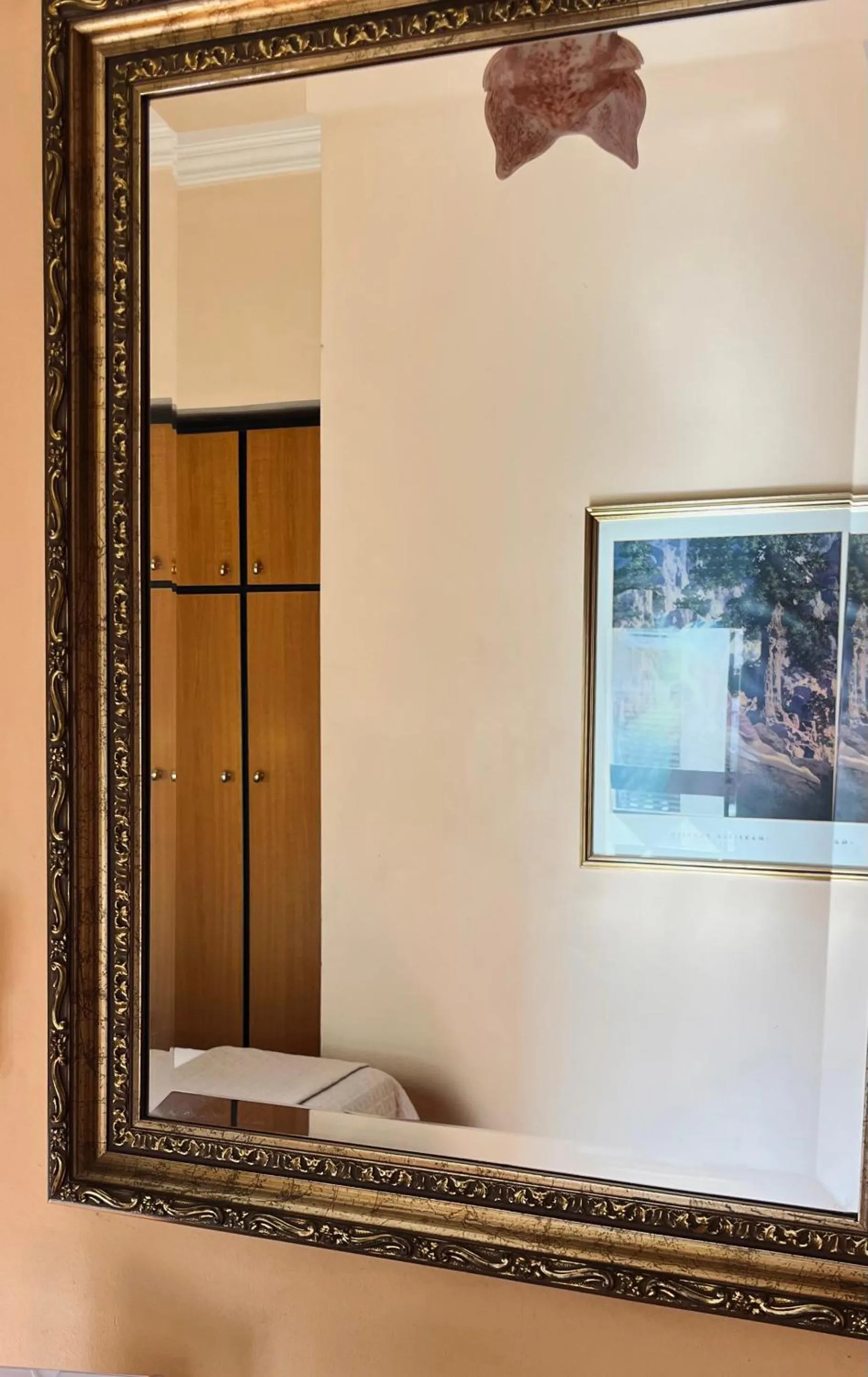 wardrobe in Alfa Hotel