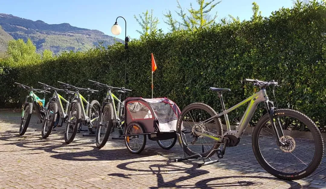 Cycling in Hotel Diana