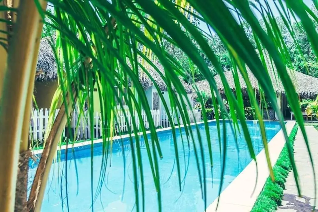 View (from property/room) in Las Dunas Surf Resort