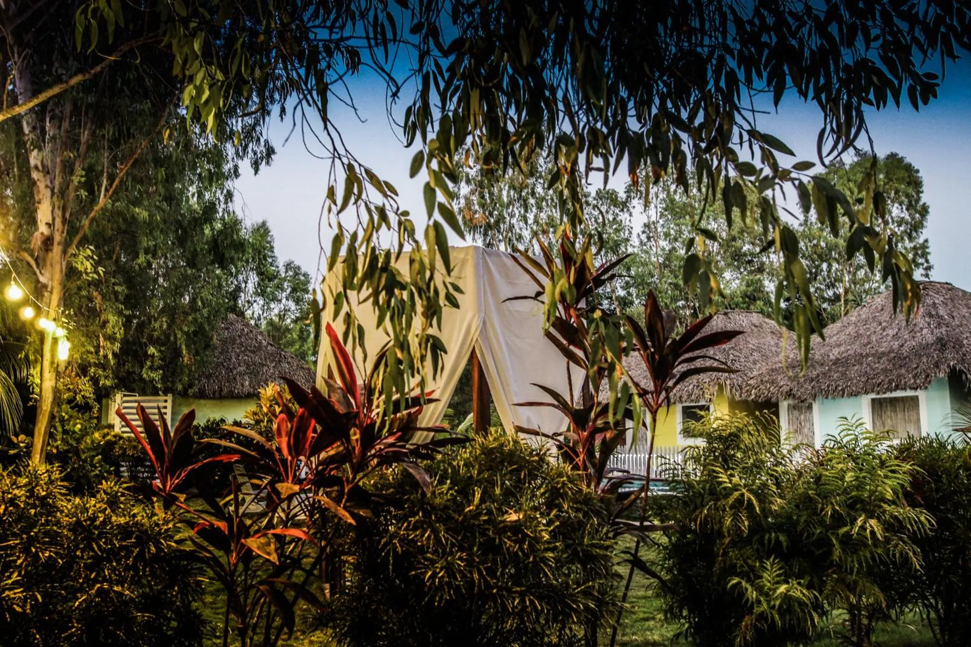 Garden in Las Dunas Surf Resort