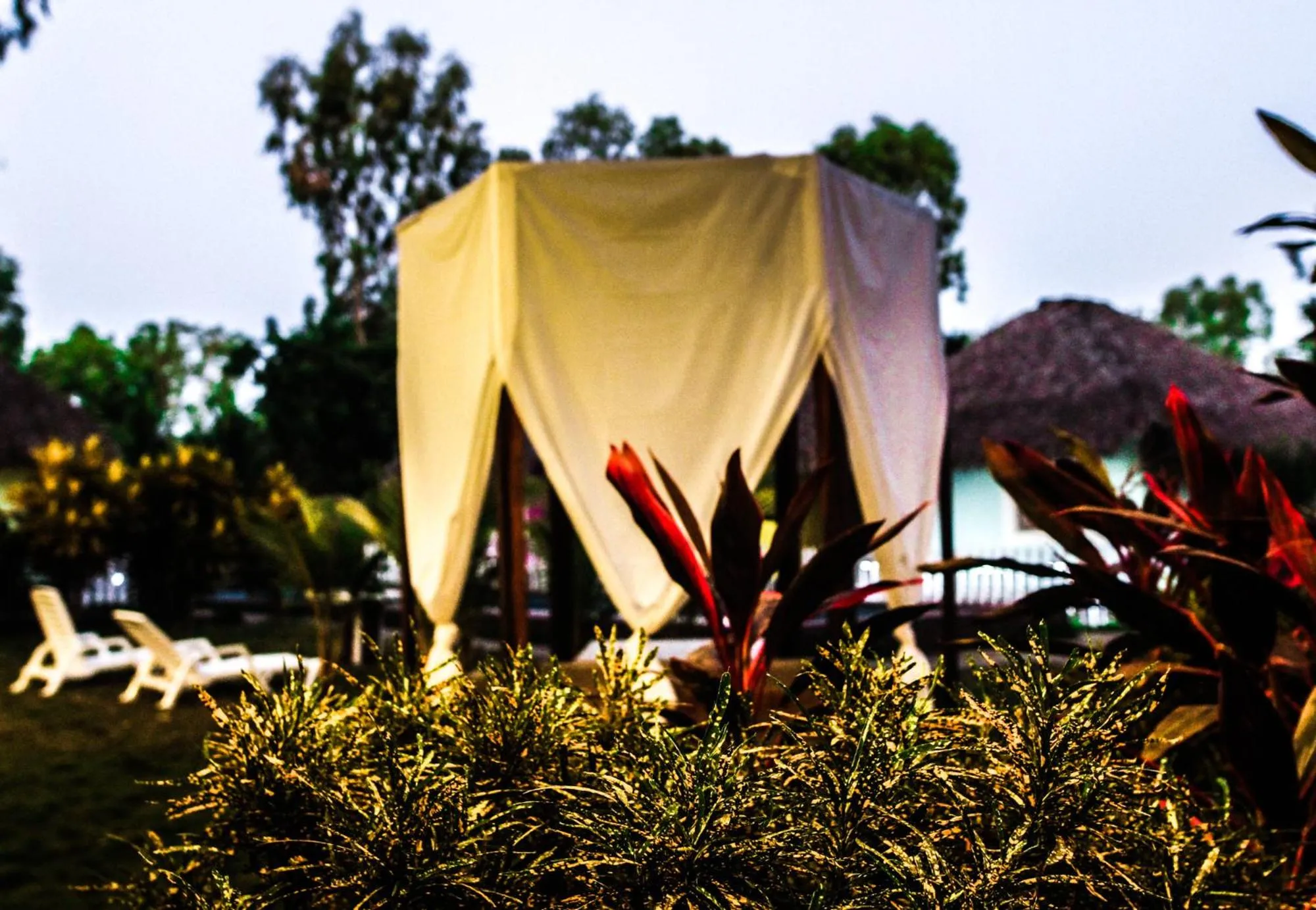 View (from property/room) in Las Dunas Surf Resort