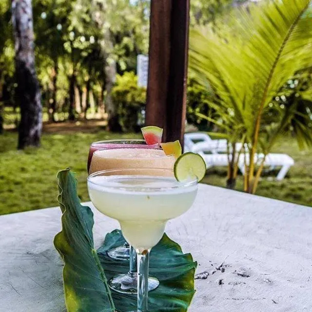 Lounge or bar in Las Dunas Surf Resort