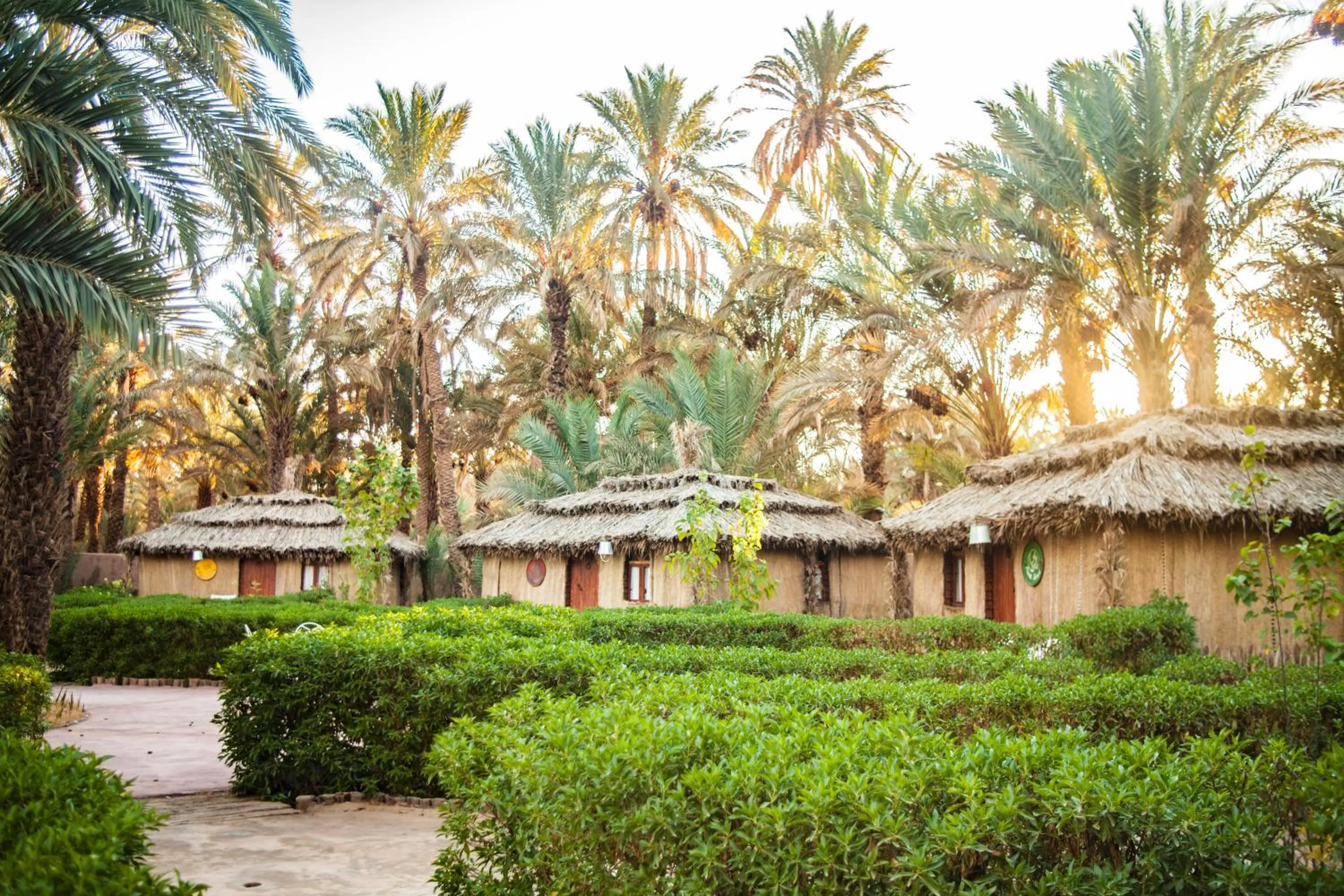 Property building in Riad Lamane