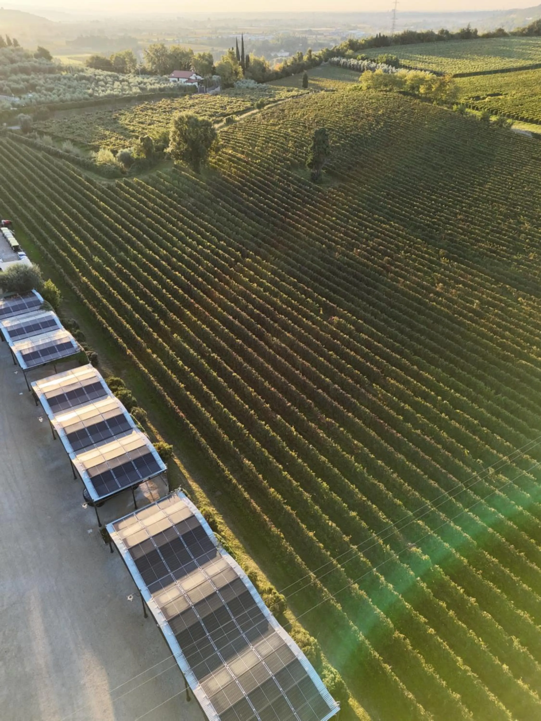 Garden in Villa Cordevigo