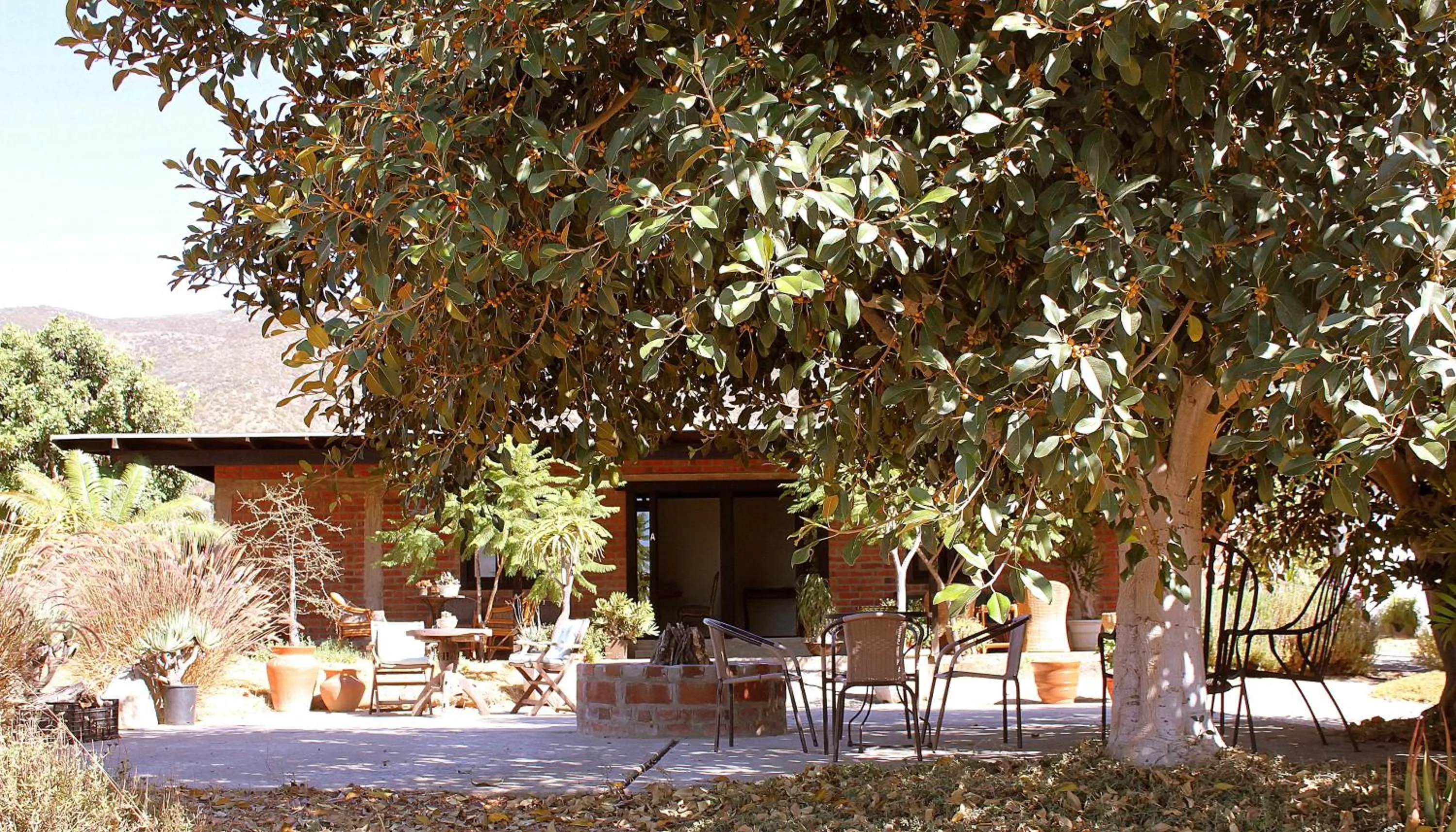 Garden view in Las Orquideas