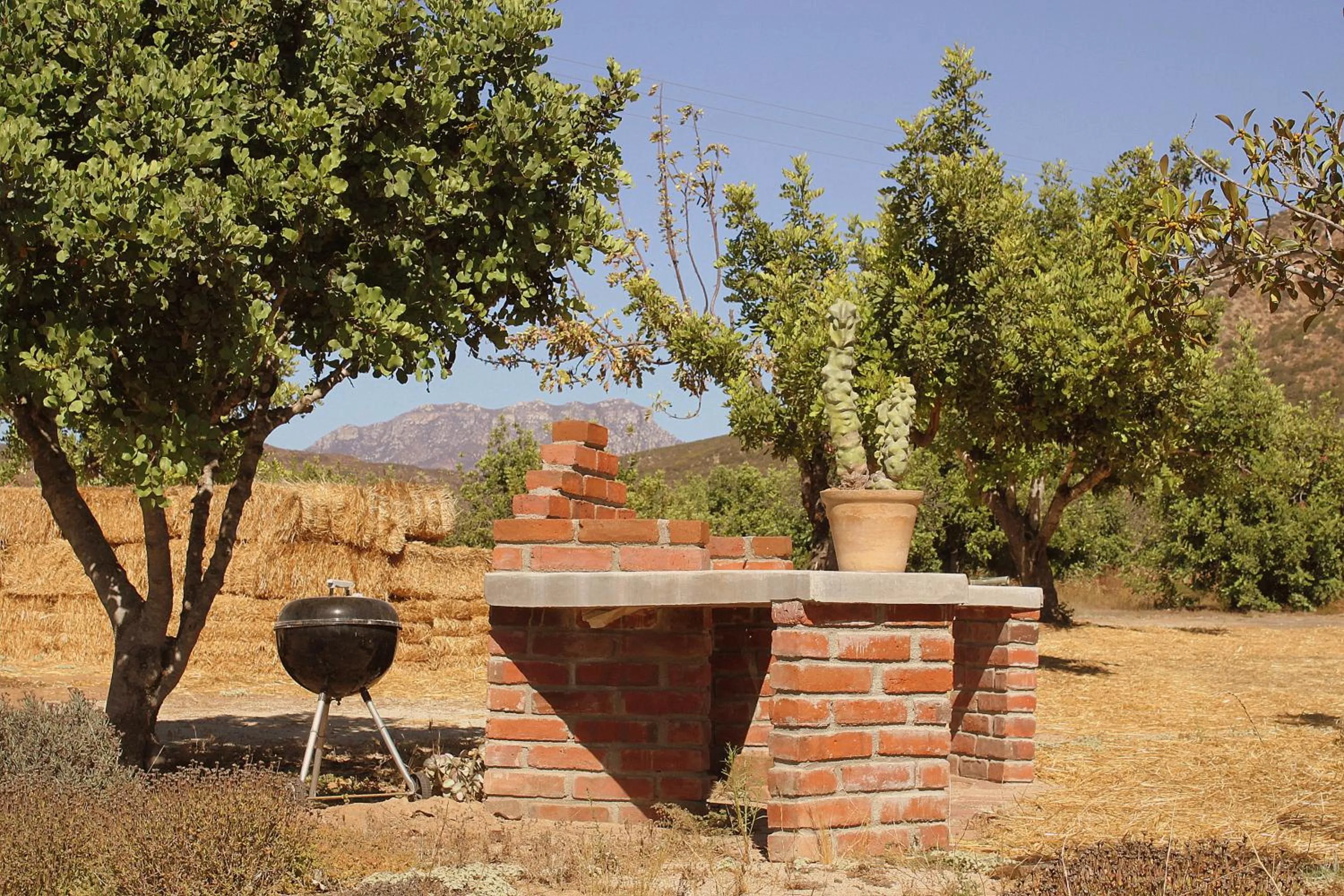 BBQ facilities in Las Orquideas