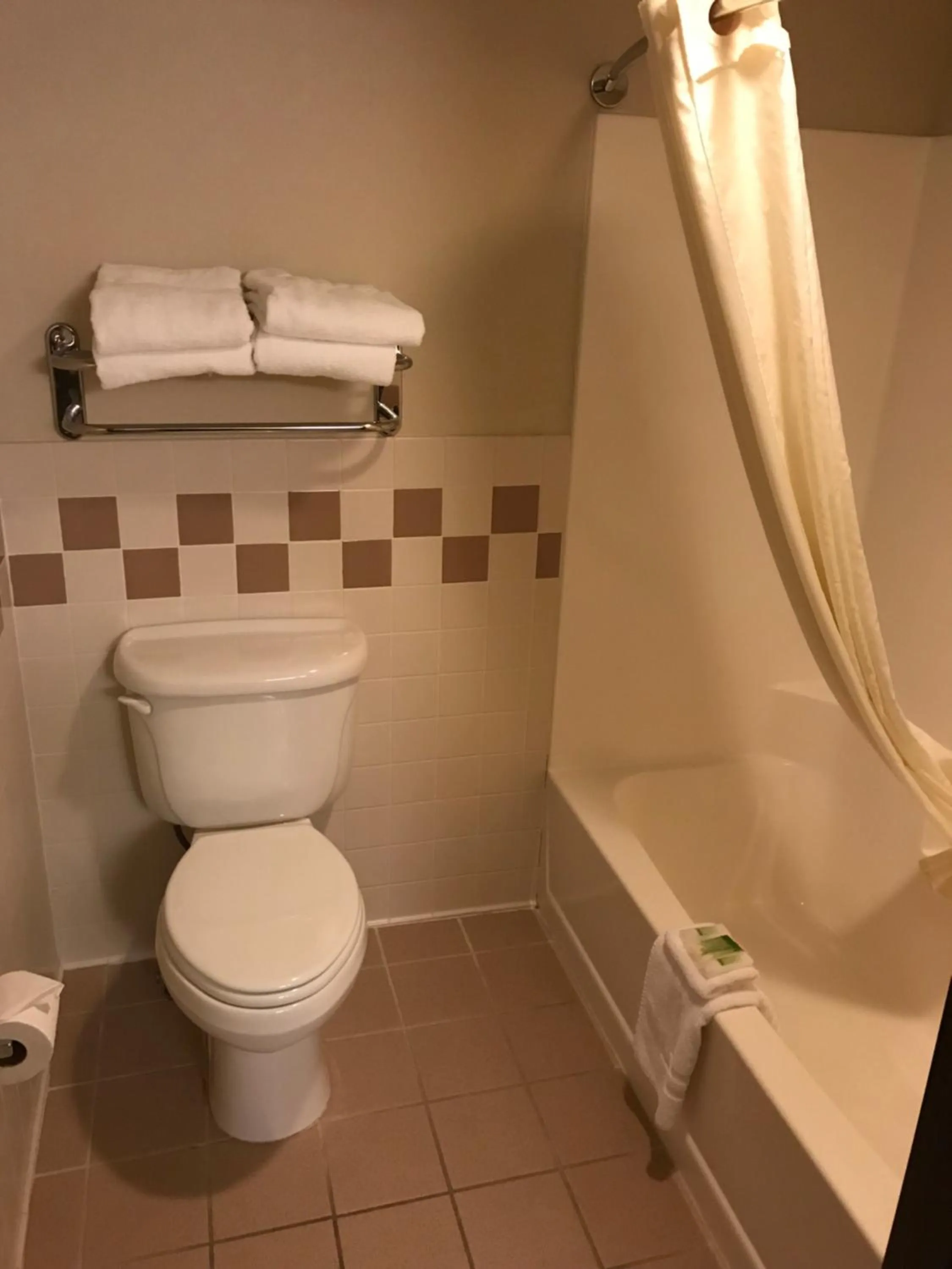 Shower in AmericInn by Wyndham Appleton North Little Chute