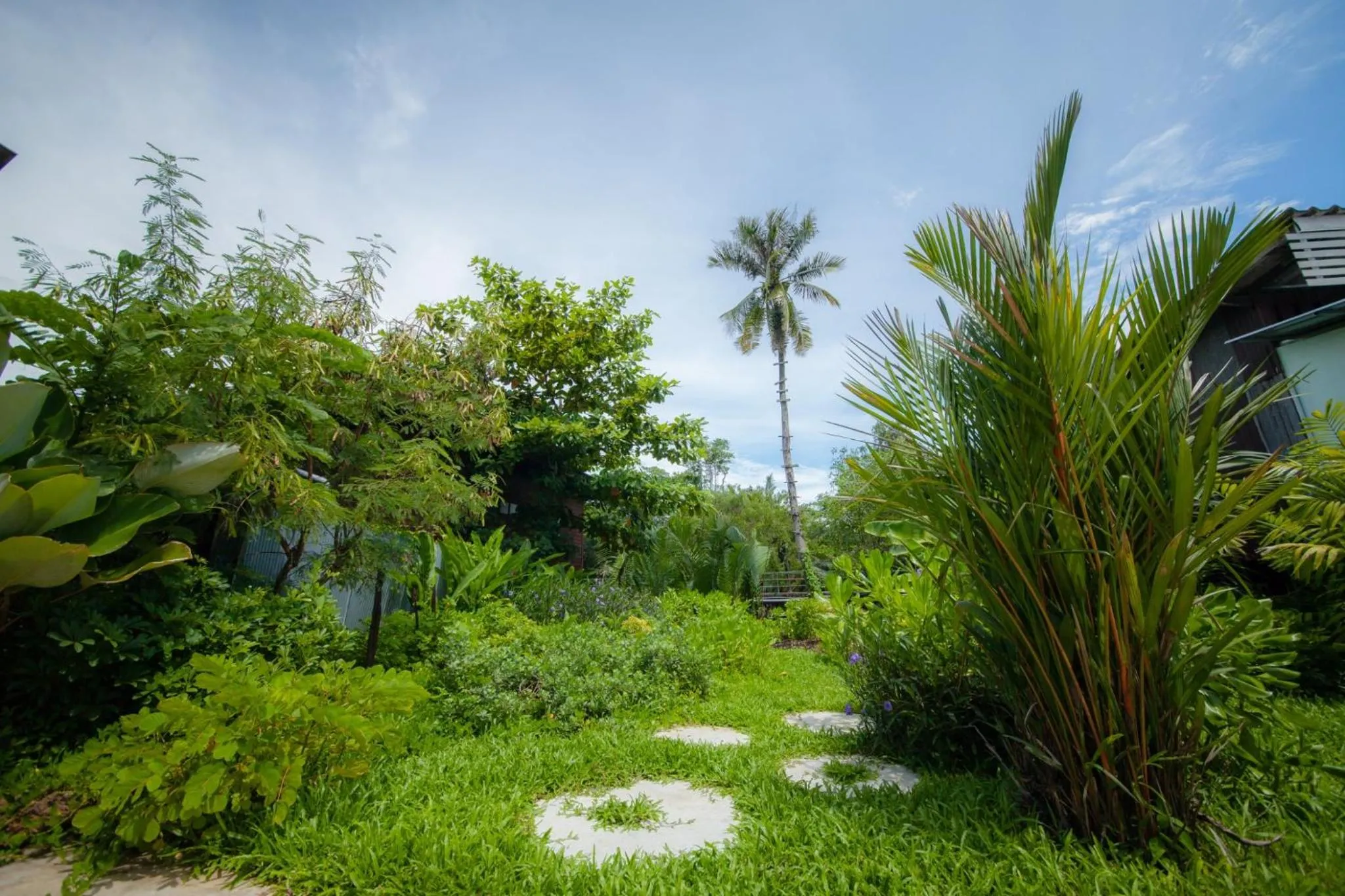 Natural landscape in Trat 101 Hotel - SHA Certified
