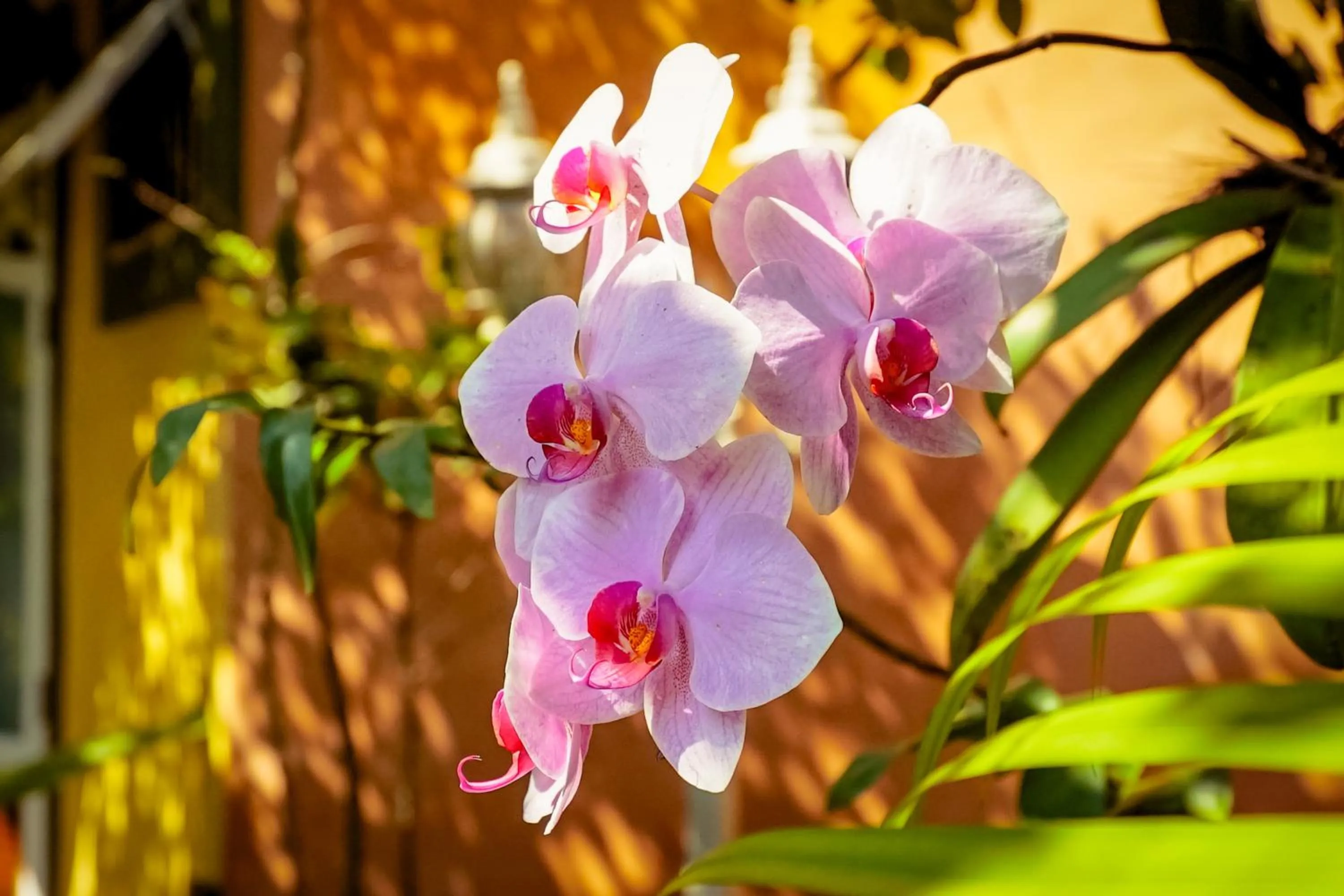 Natural landscape in VELINN Pousada Ponta do Pequeah