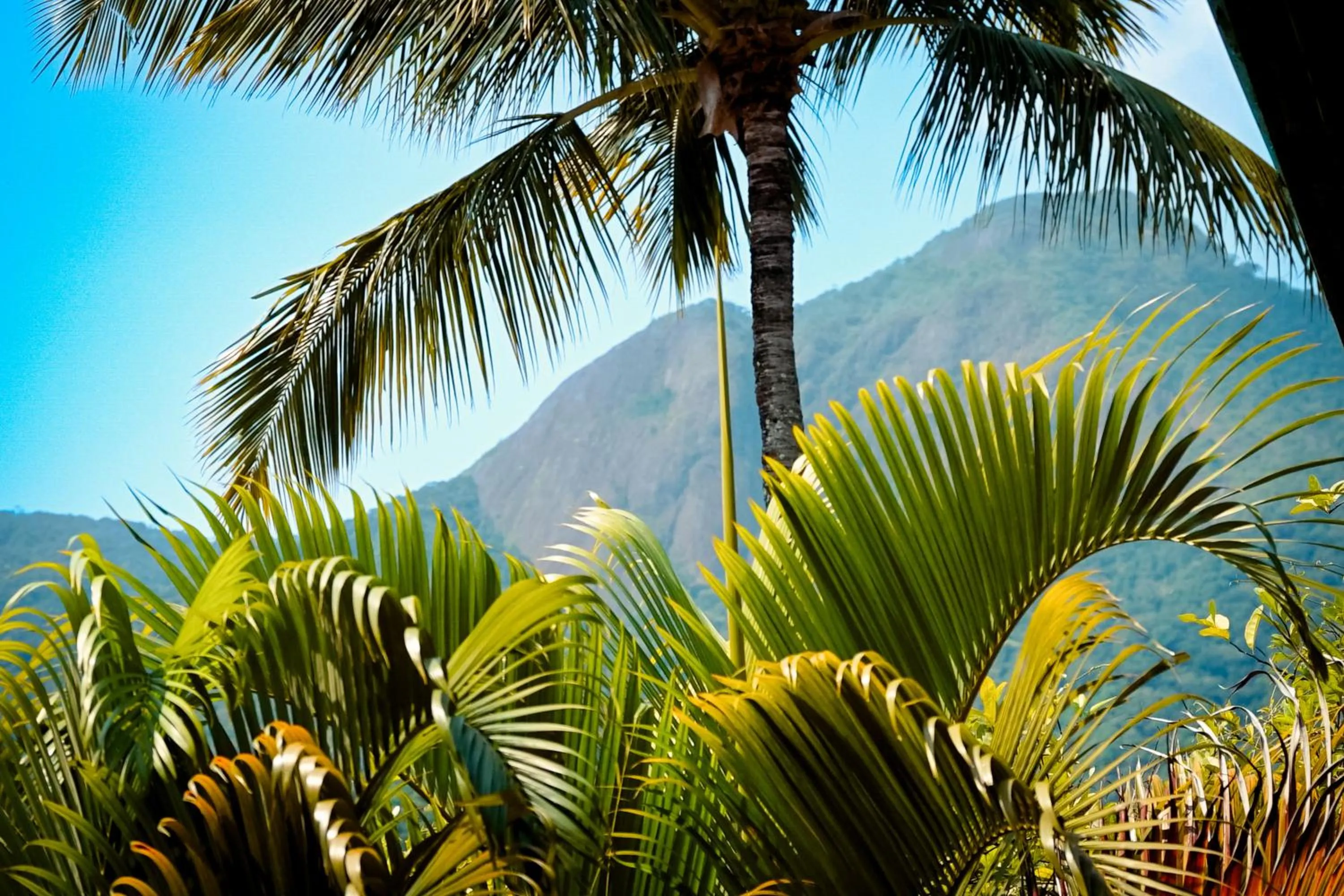 Natural landscape in VELINN Pousada Ponta do Pequeah