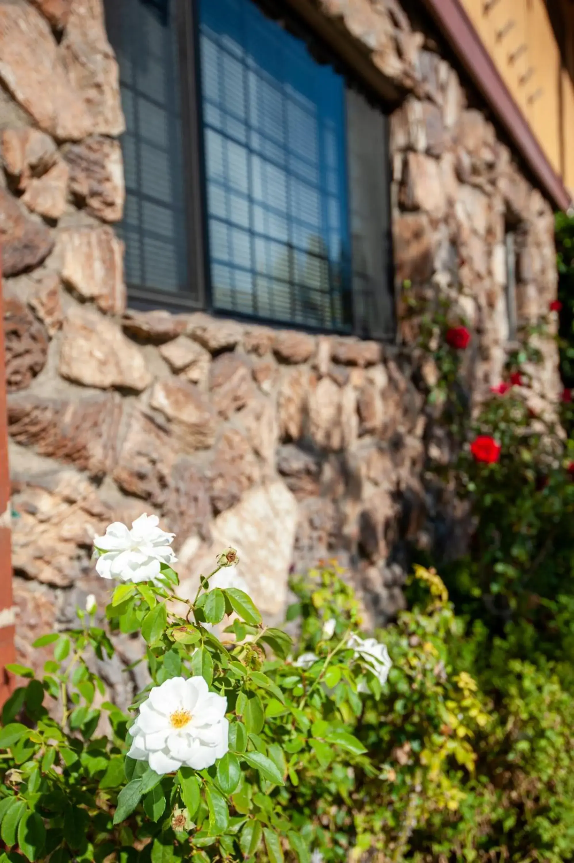 Property building in Studio City Court Yard Hotel Property building in Studio City Court Yard Hotel