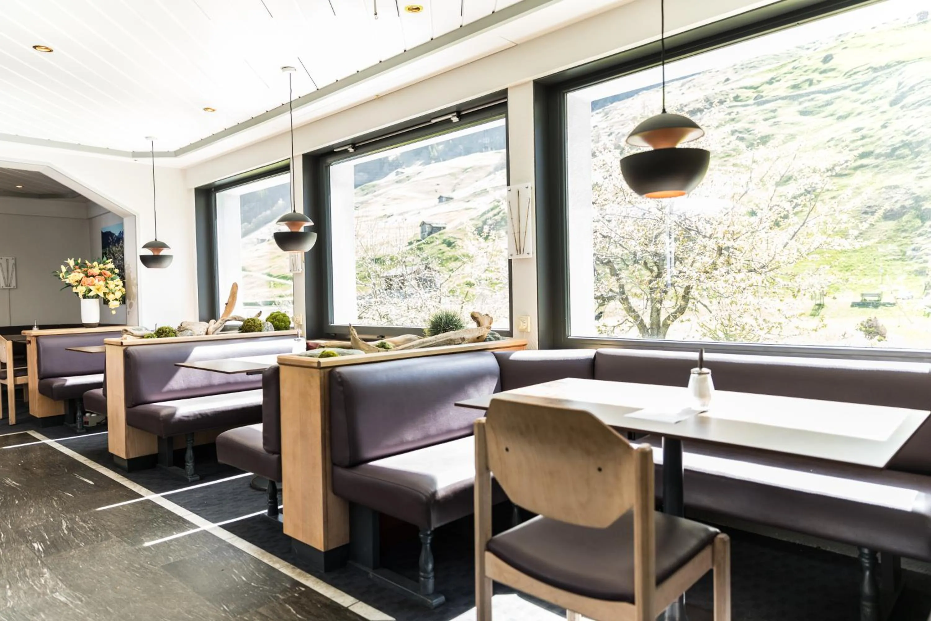 Schnider Bed&Breakfast und Café