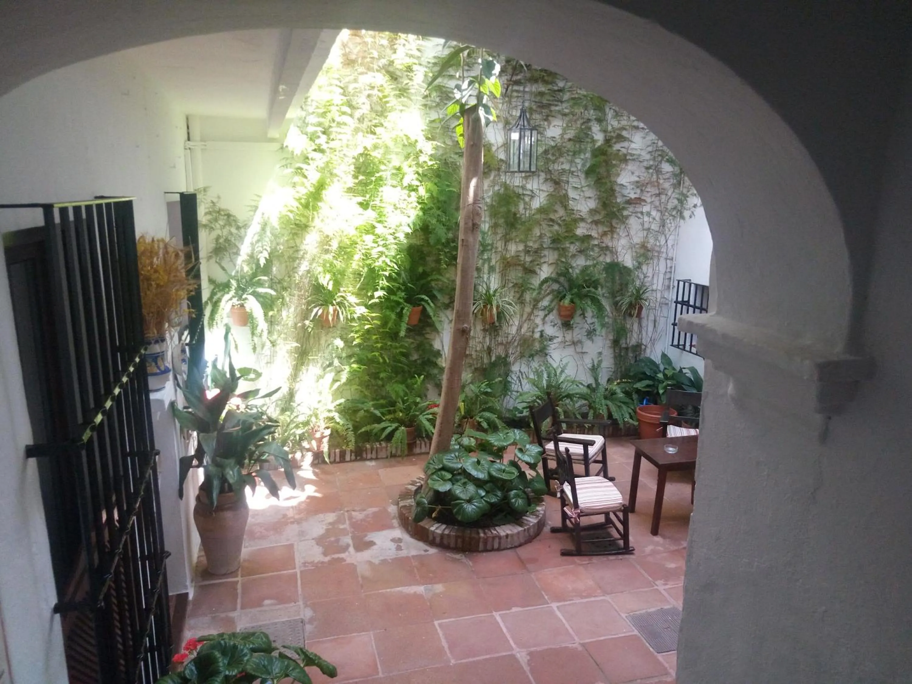 Patio in Hostal Gran Capitan