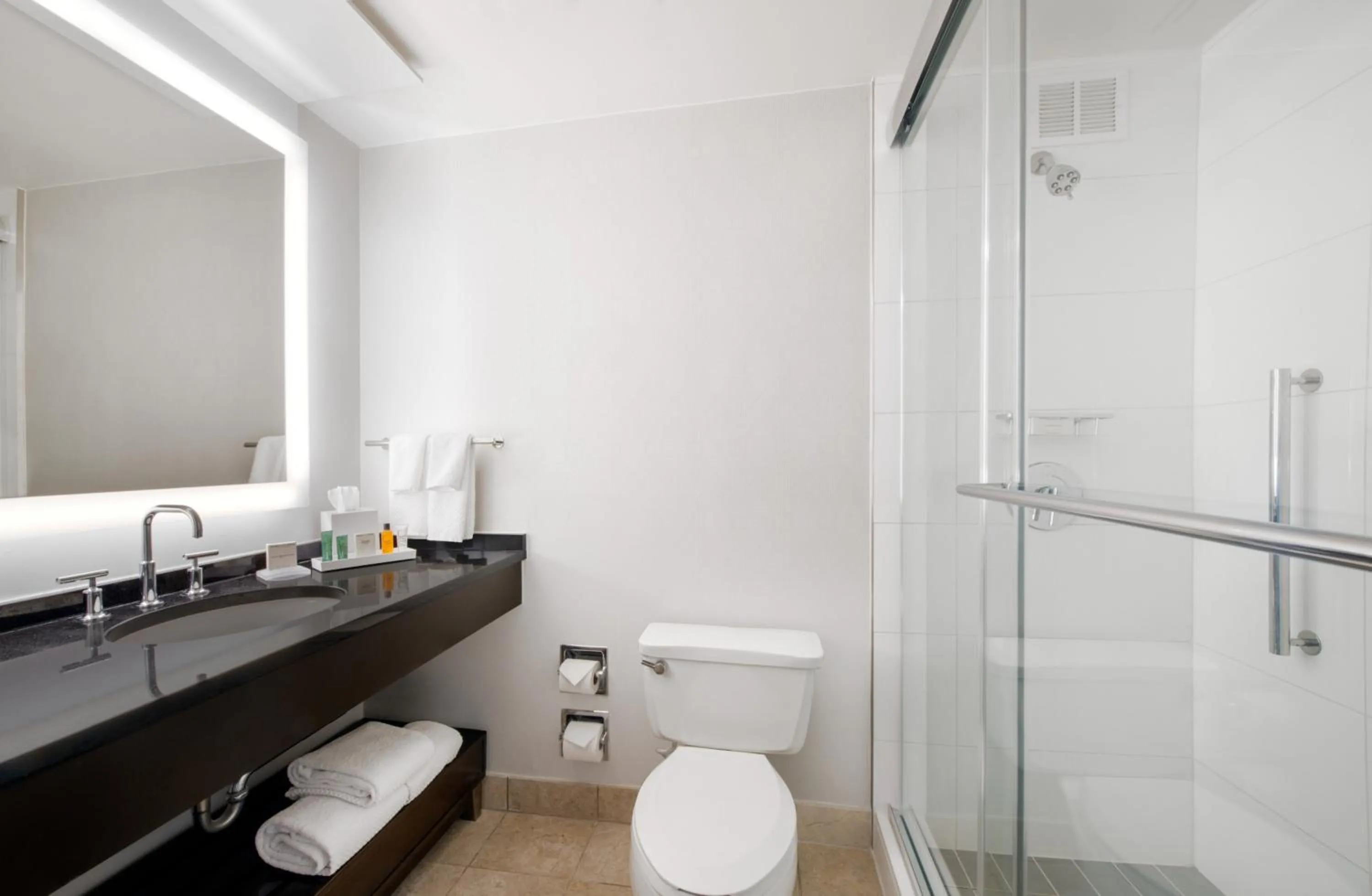 Bathroom in Hilton Atlanta