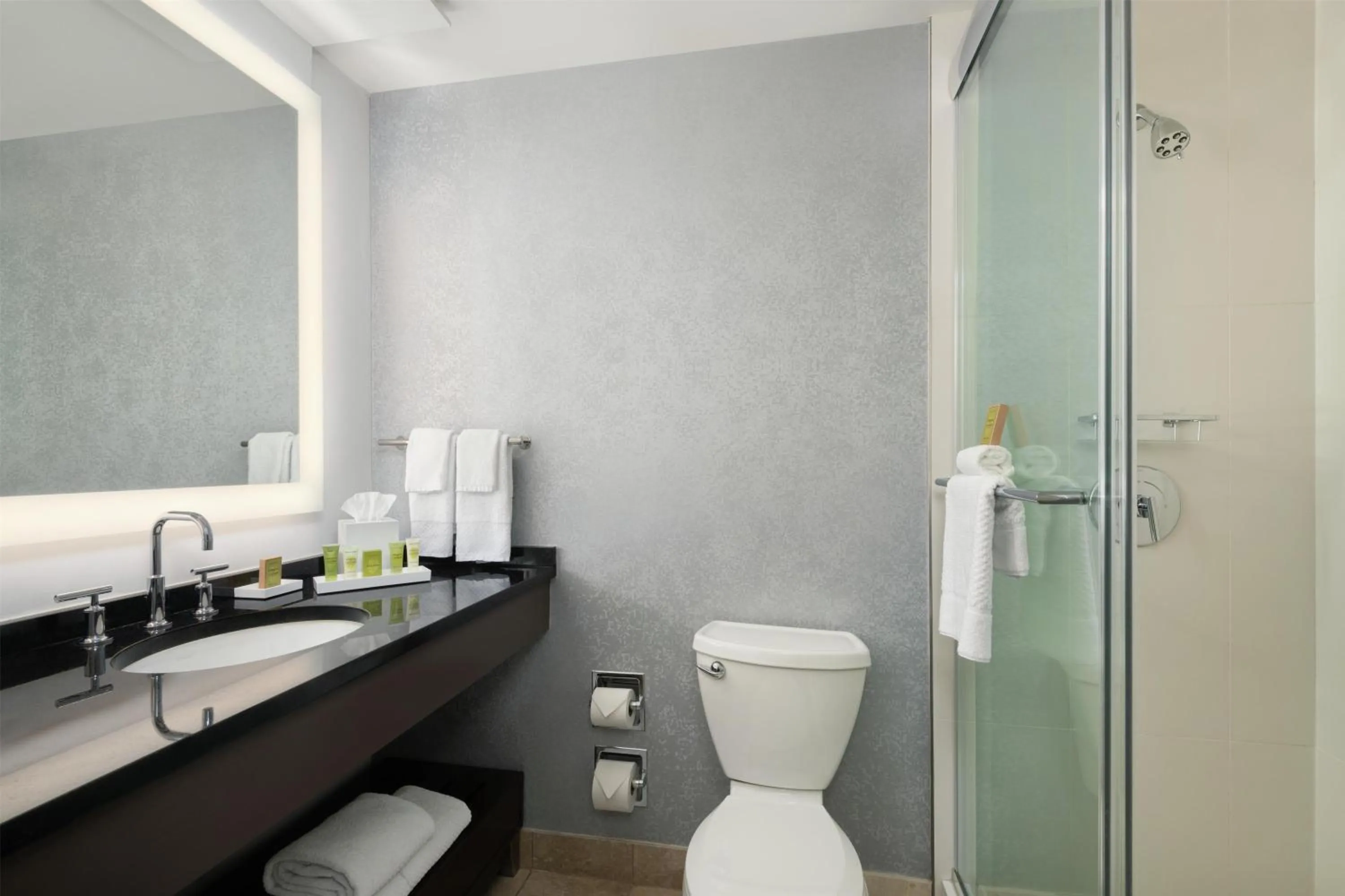 Bathroom in Hilton Atlanta