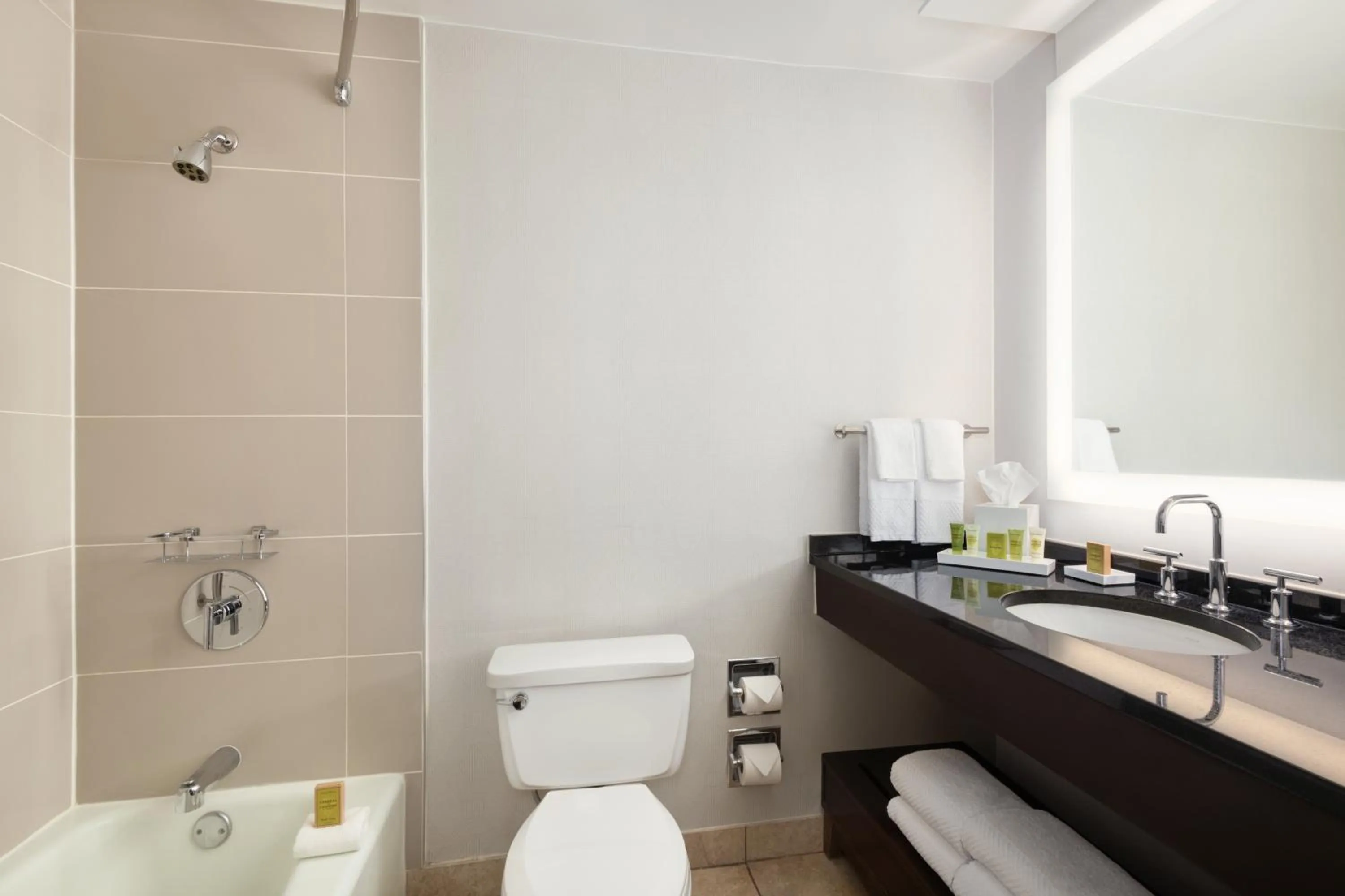 Bathroom in Hilton Atlanta