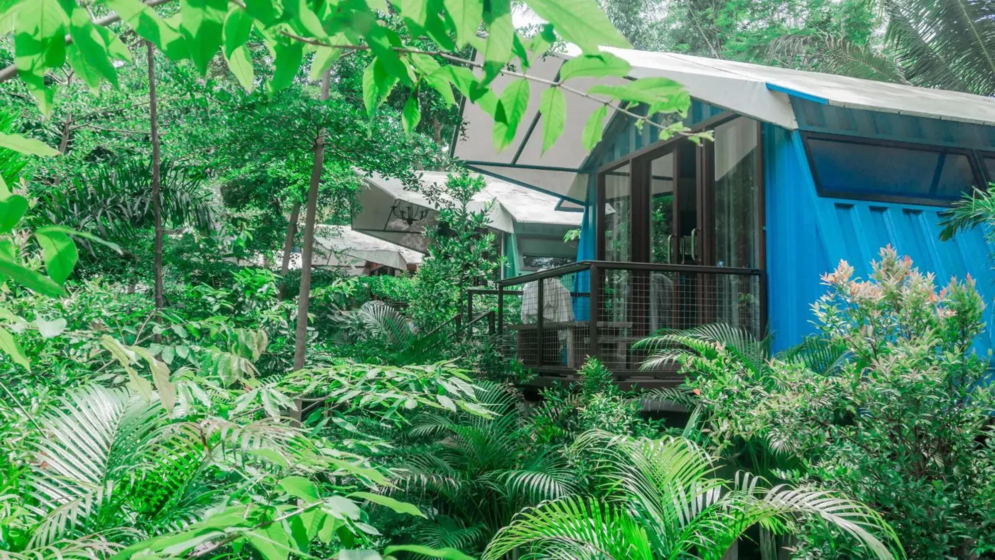 Property building in Hau Eco Lodges Citumang Pangandaran Property building in Hau Eco Lodges Citumang Pangandaran