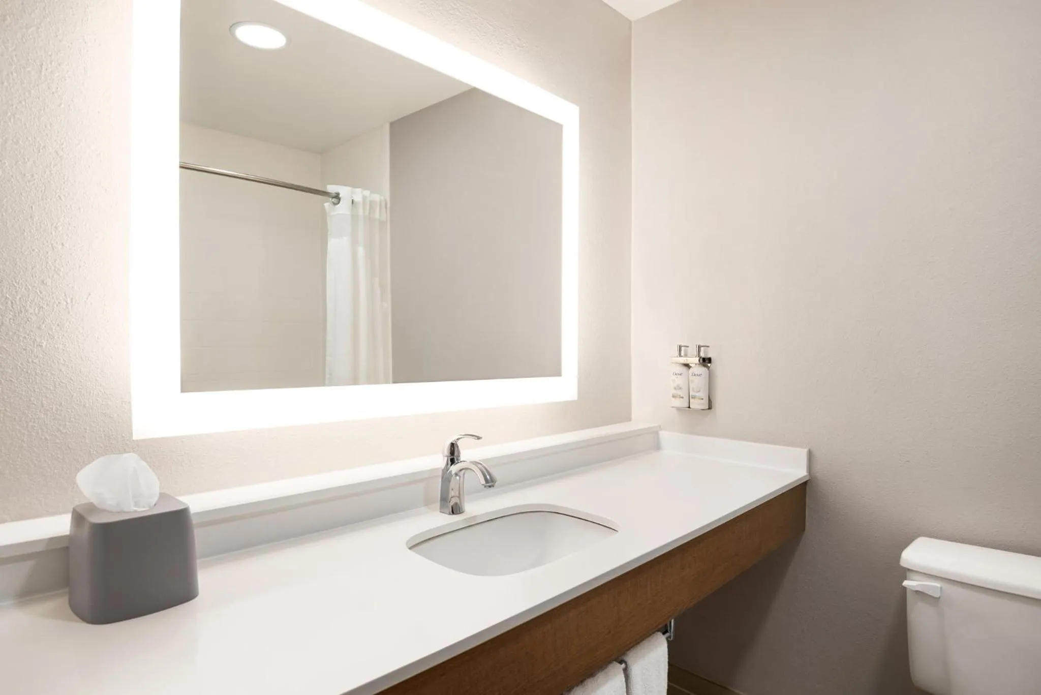 Bathroom in Holiday Inn Express Stephens City by IHG