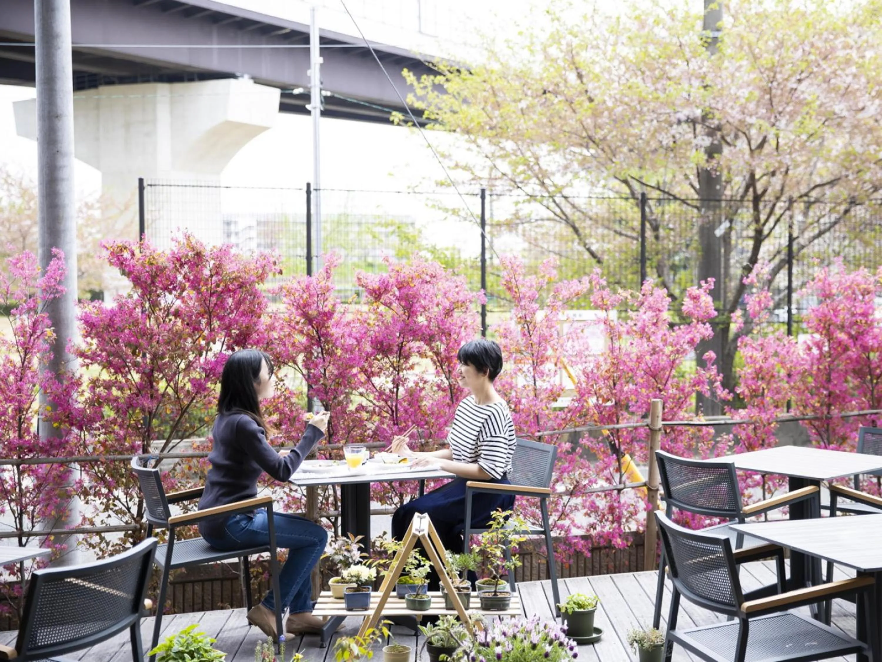 Breakfast in Ariston Hotel Kyoto Jujo