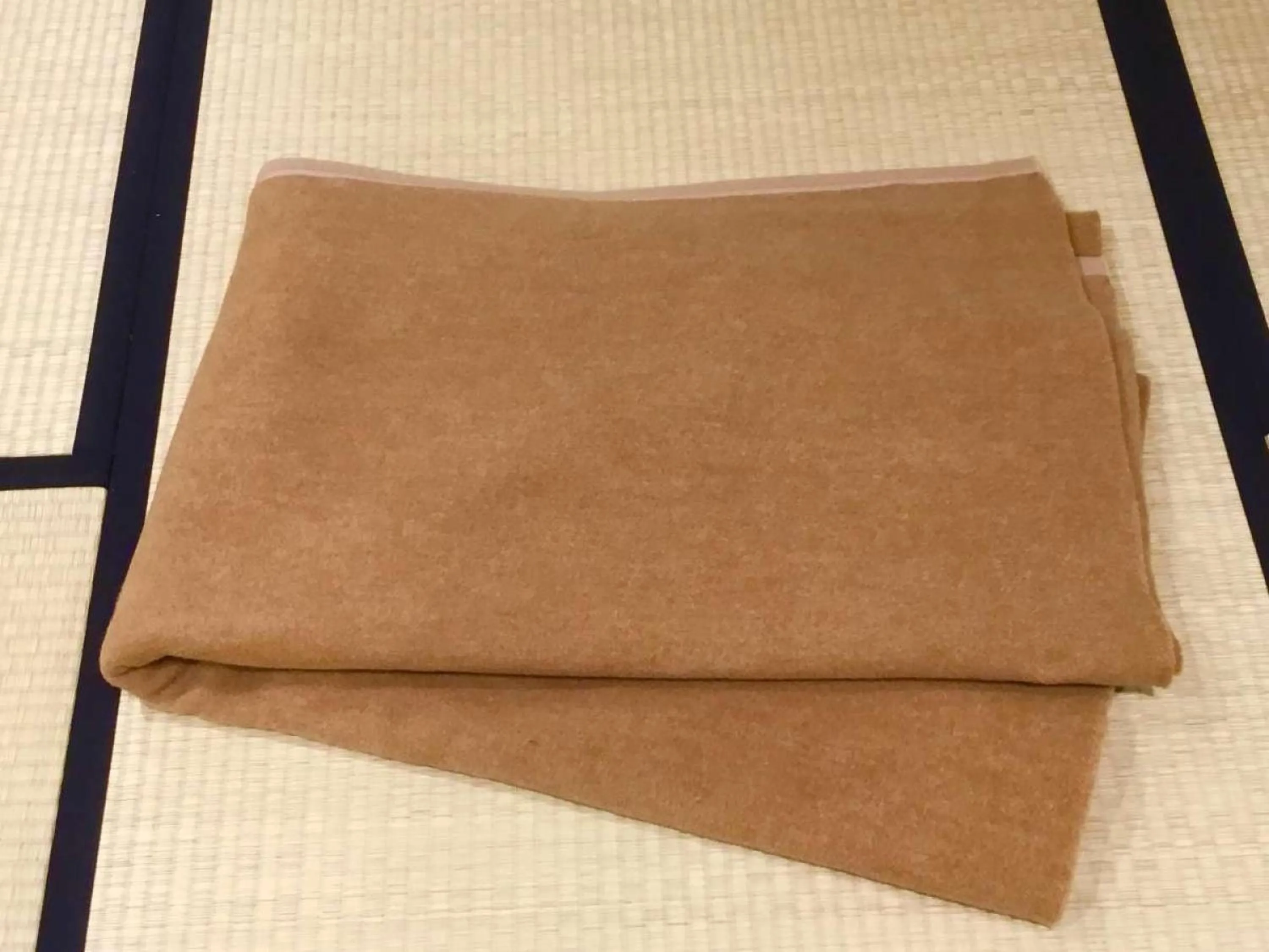 Area and facilities in Ariston Hotel Kyoto Jujo