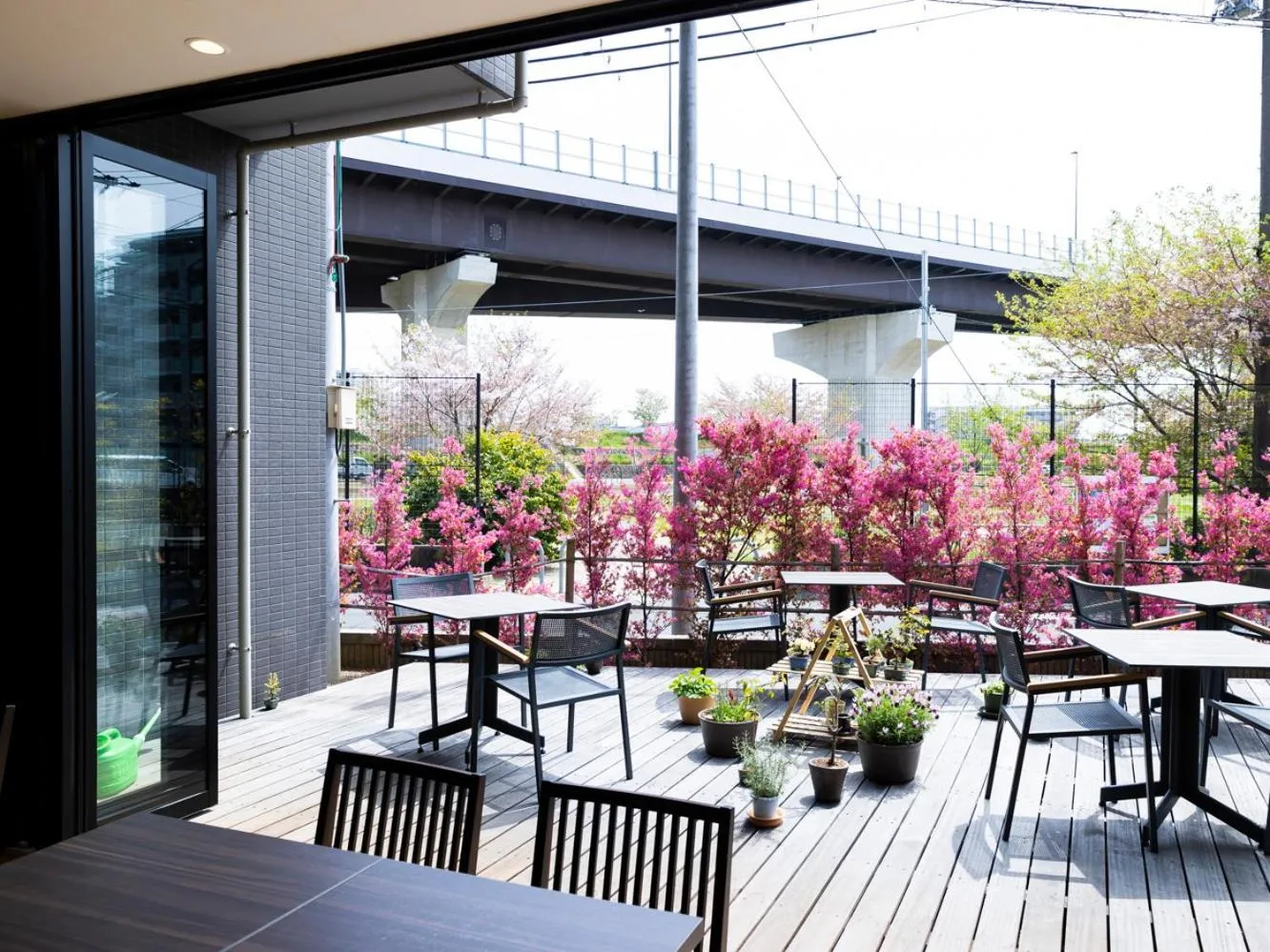 Restaurant/places to eat in Ariston Hotel Kyoto Jujo