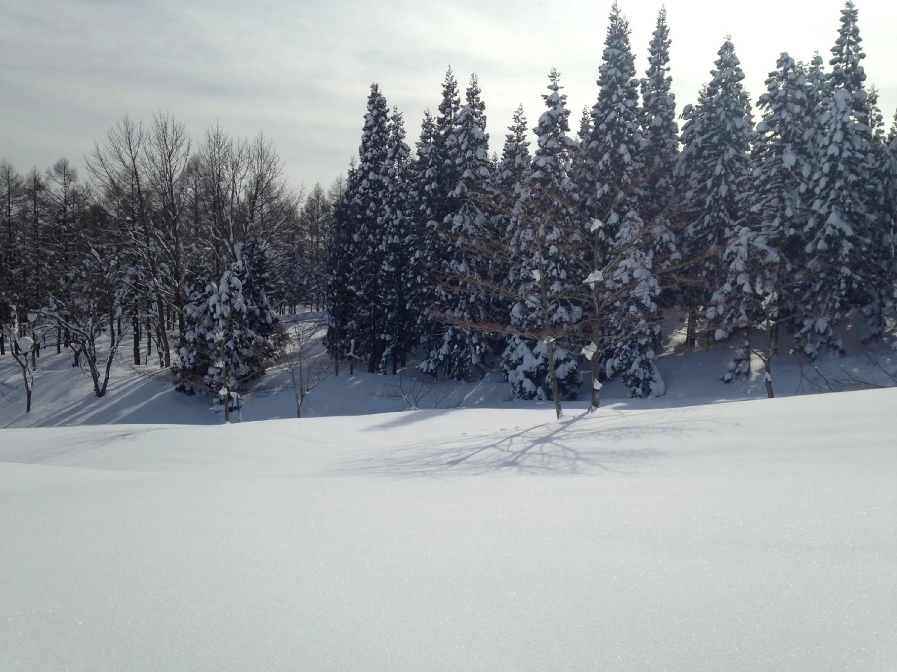 Skiing in Refre Hotel