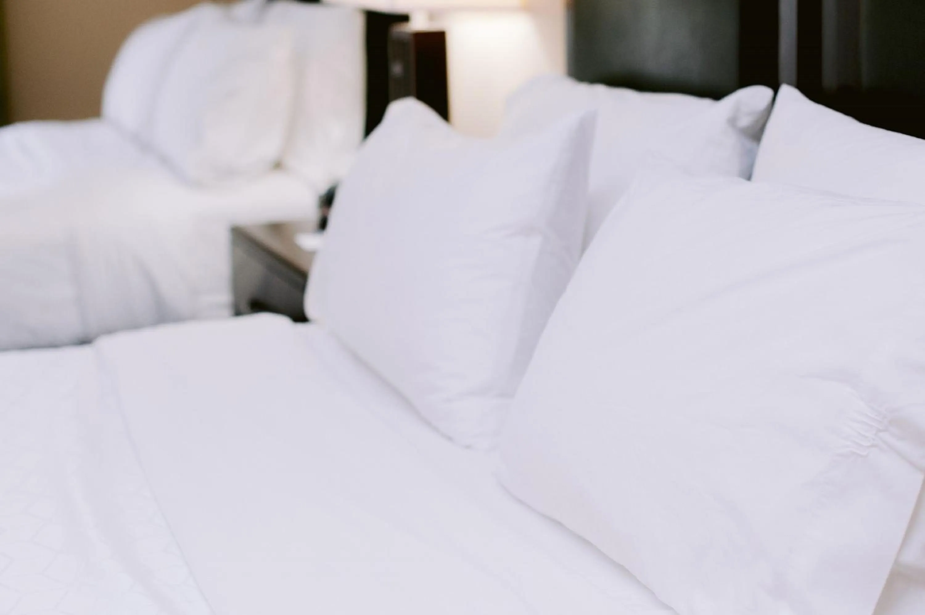 Photo of the whole room, Bed in Holiday Inn Express Hotel Raleigh Southwest by IHG